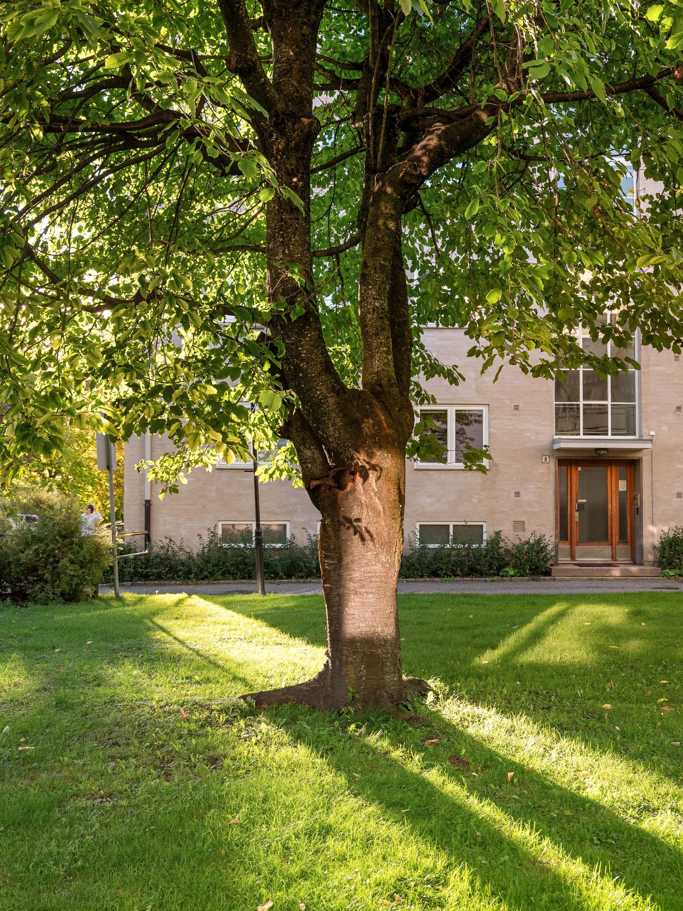 Opparbeidet fellesområdet og velholdt sameiet. Galleribilde