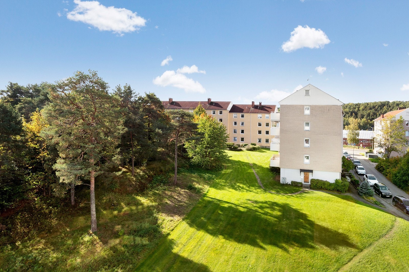 Rolige omgivelser med grønne plener og naturlig vegetasjon rundt blokkene. Galleribilde