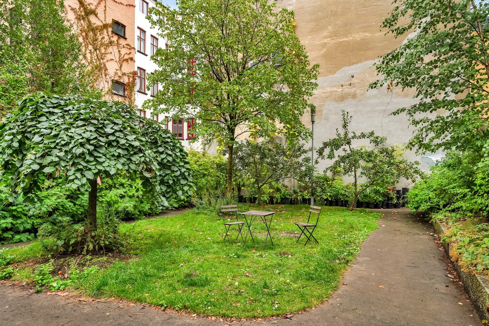 Bakgården er pent opparbeidet med plen, beplantning og internveier. Galleribilde