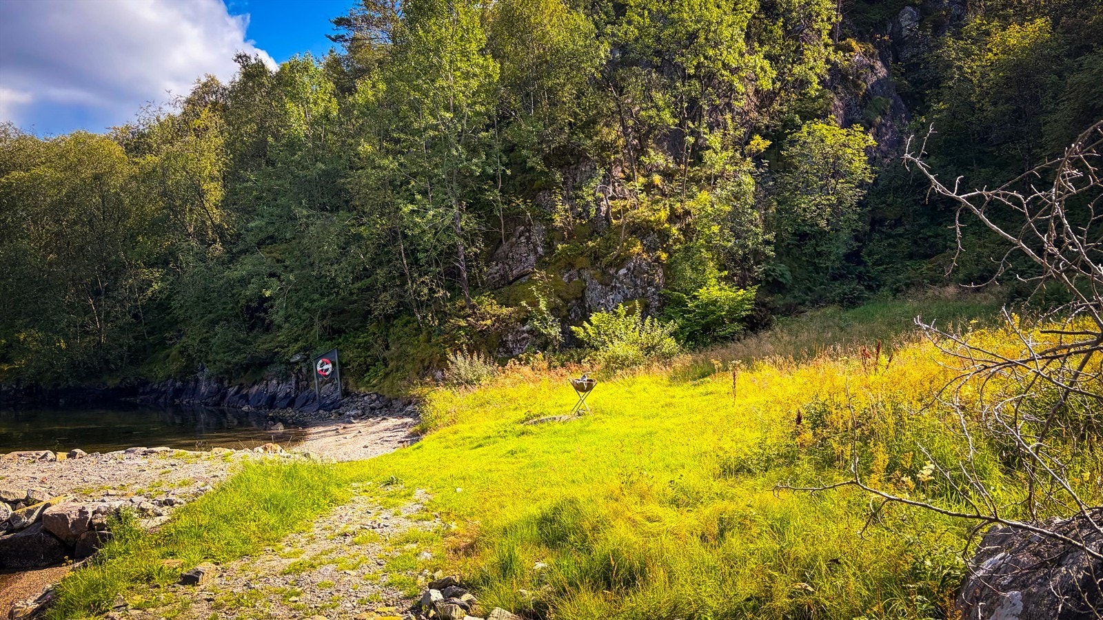 Grøntareal og strandlinje i Grotvika. Galleribilde