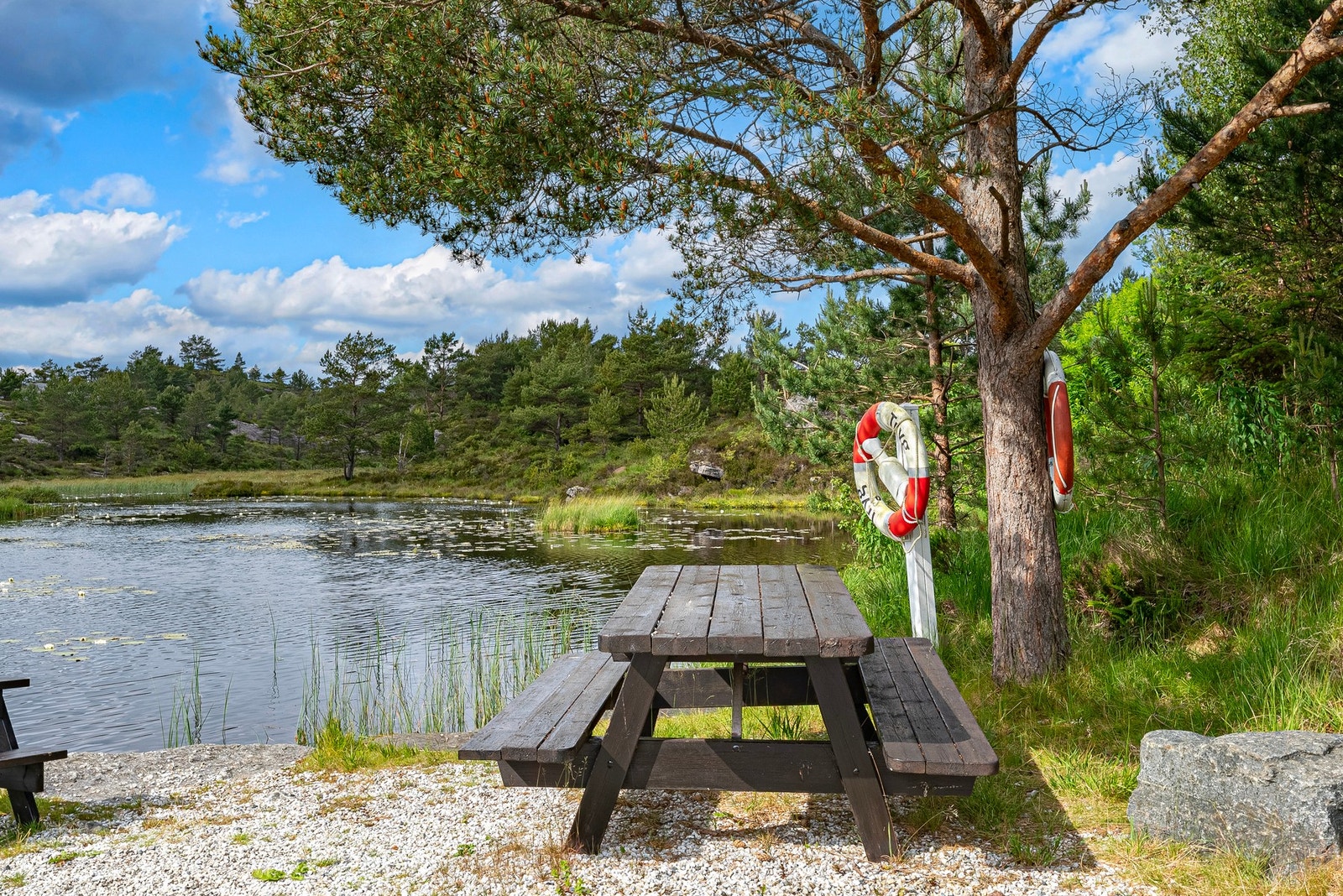 Holatjørna Galleribilde