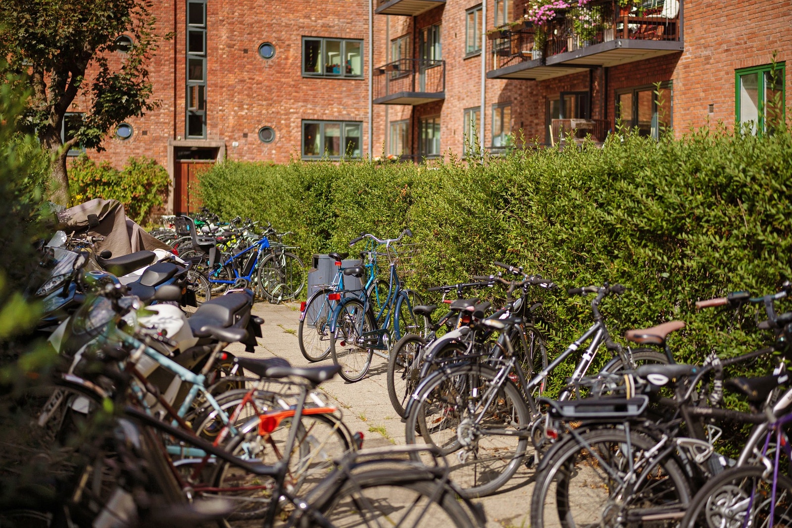 Sykkelparkering. Galleribilde