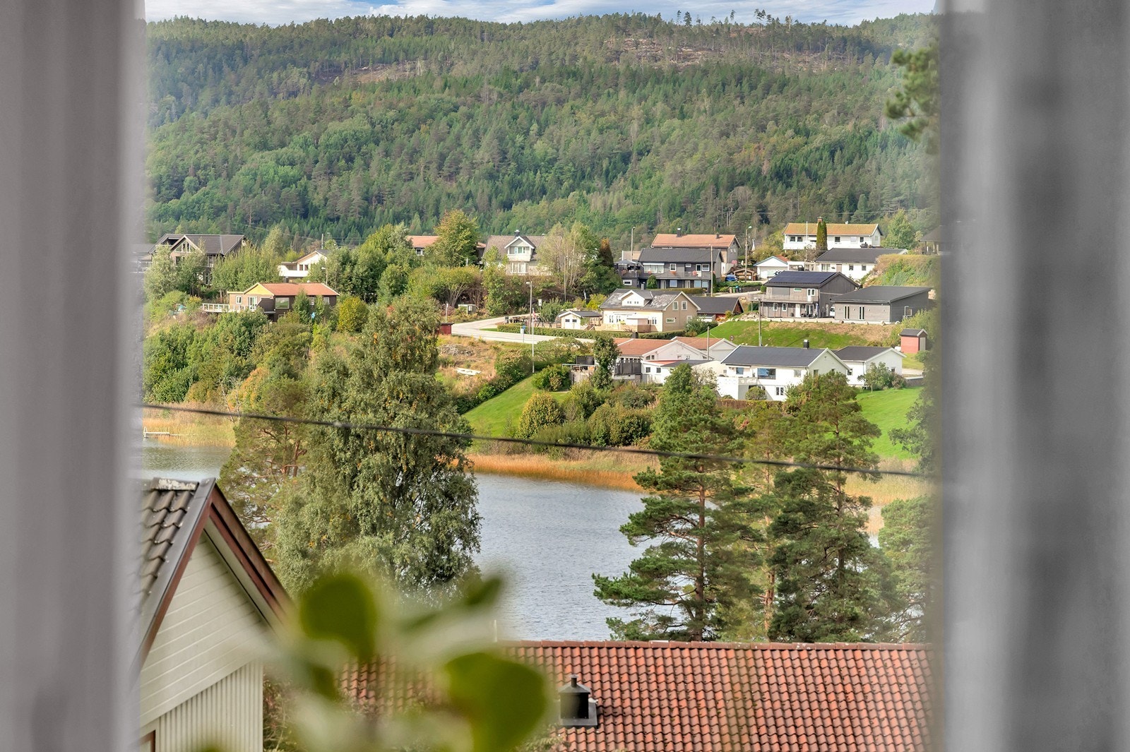 Utsyn over nærområdet med skogkledde åser. Galleribilde