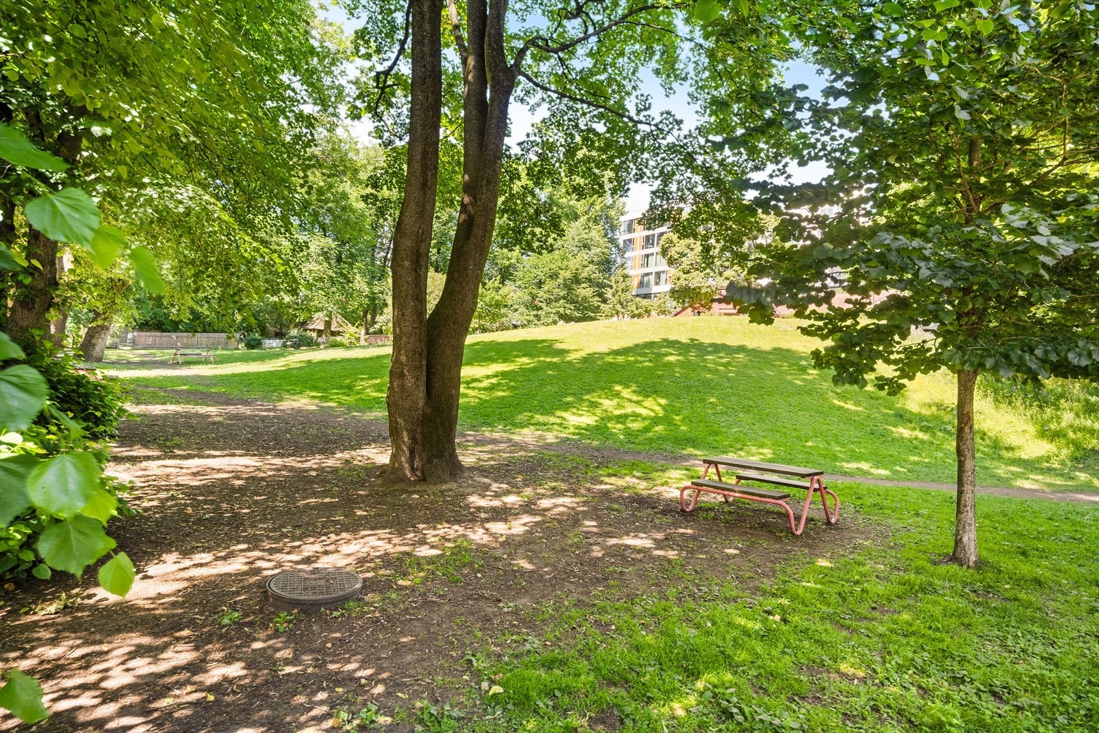 Områdebilde. Galleribilde