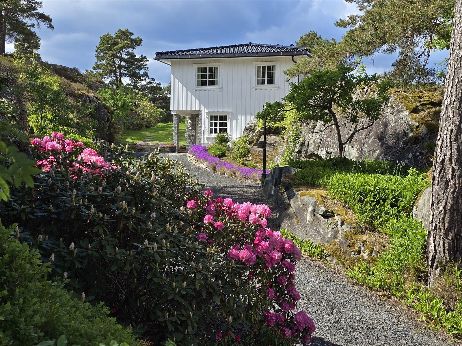 Bilder fra selger Galleribilde