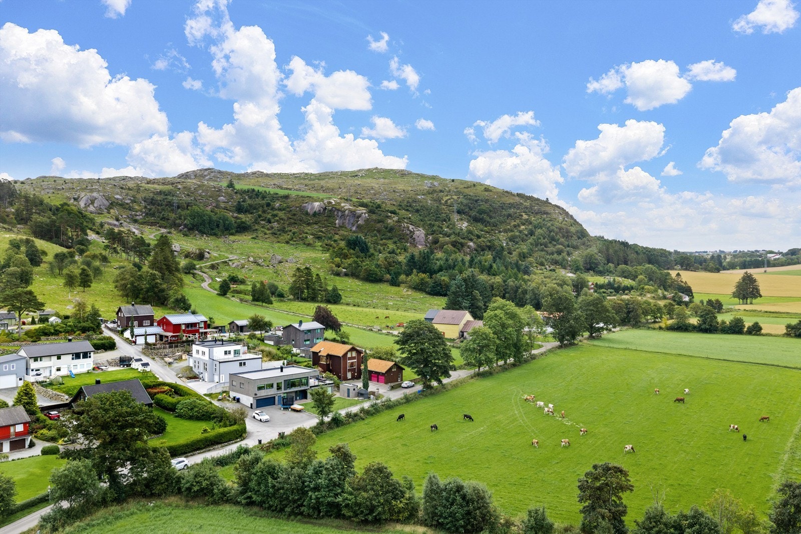 DJI_20260910100513_0041_D Galleribilde