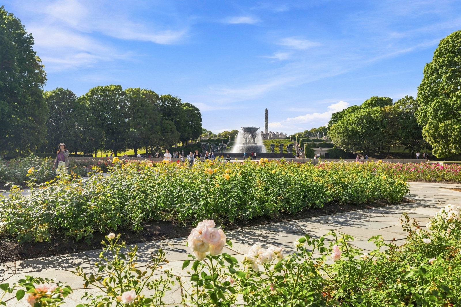 Leiligheten ligger i et urbant, populært og meget sentralt boligområde på Majorstuen.
Kort vei til Marienlystparken og skulpturanlegget Vigelandsparken. Galleribilde