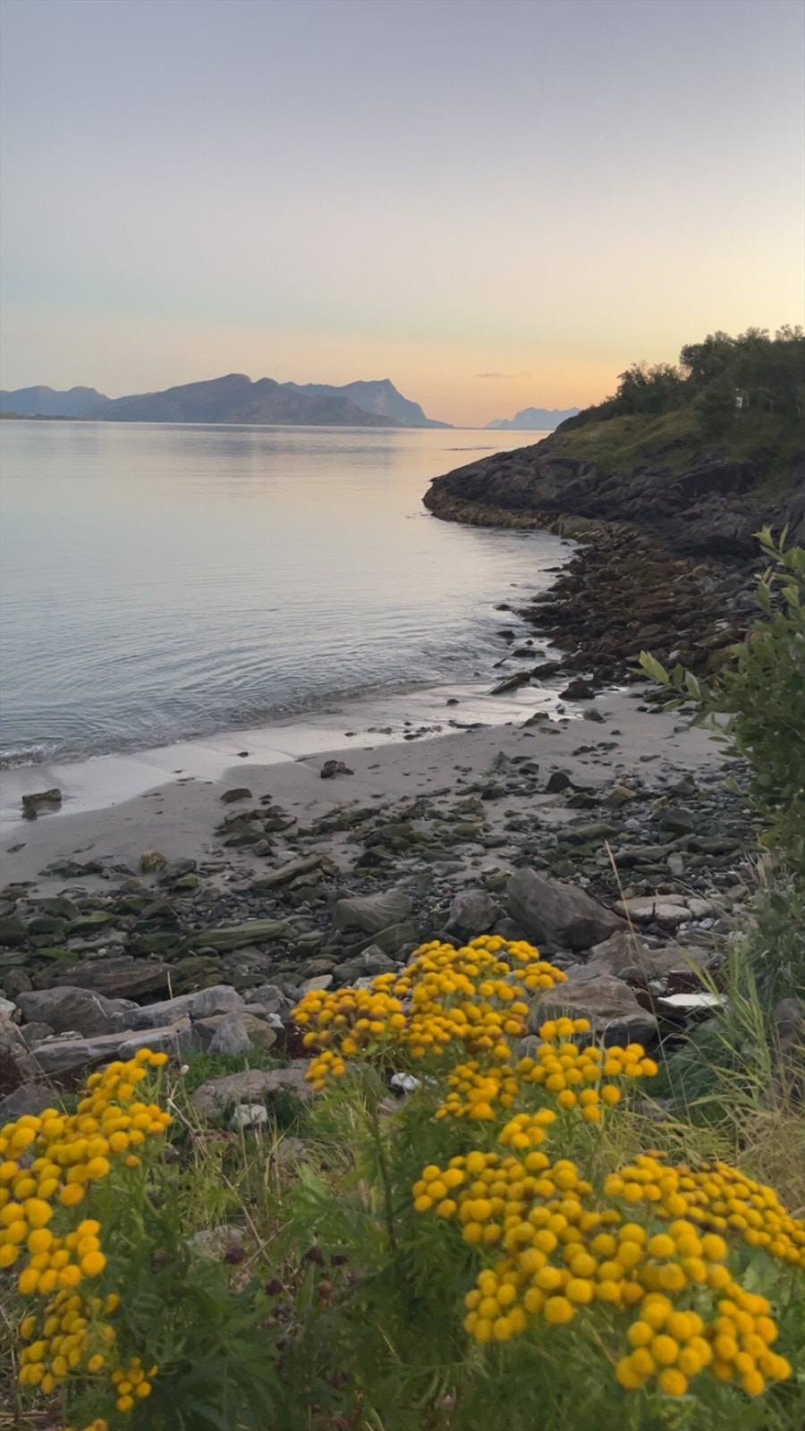 Område bilde langs kyststien like ved boligen. ( privat bilde ) Galleribilde