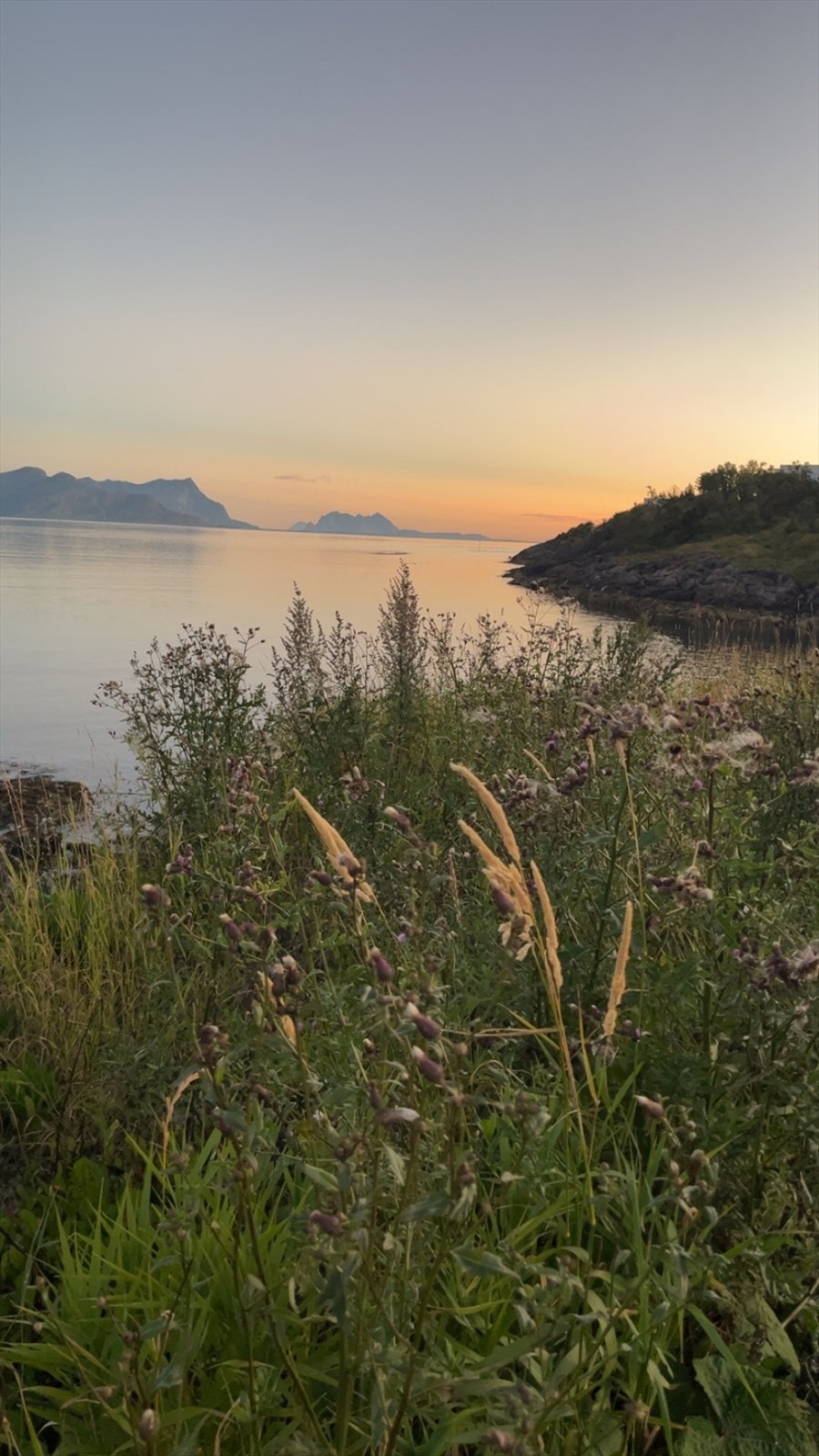 Område bilde langs kyst stien like ved boligen. ( privat bilde ) Galleribilde