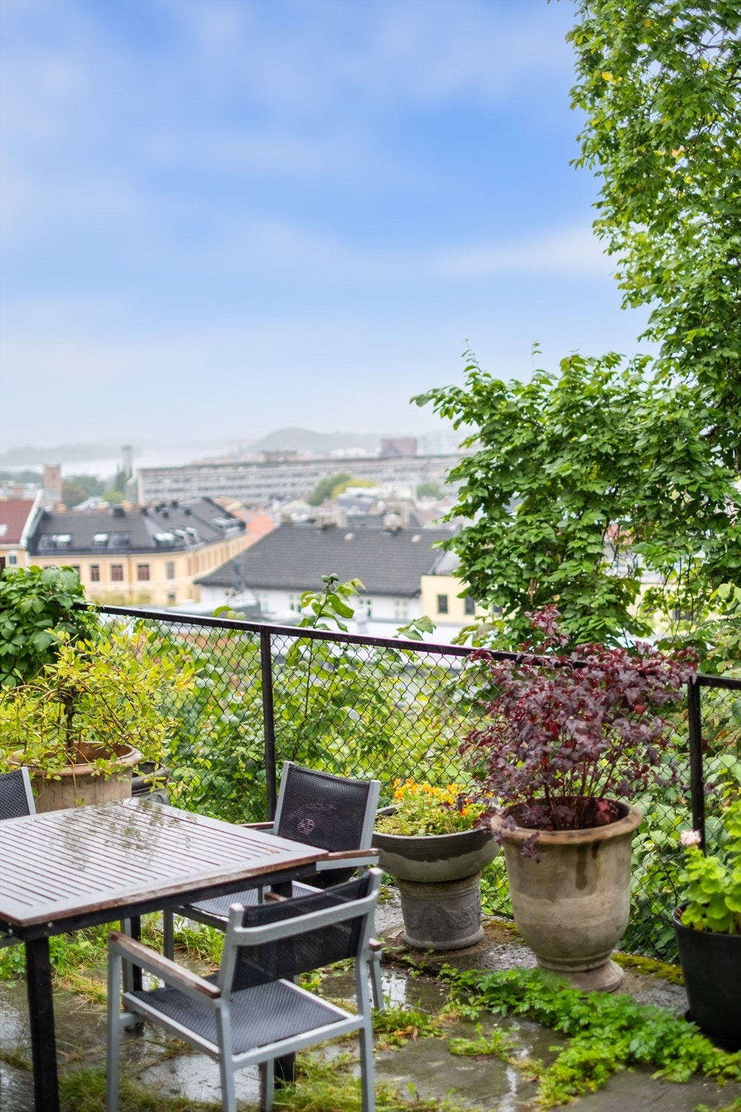 Her får du også en hyggelig utsikt over nærområdet og Oslofjorden. Galleribilde