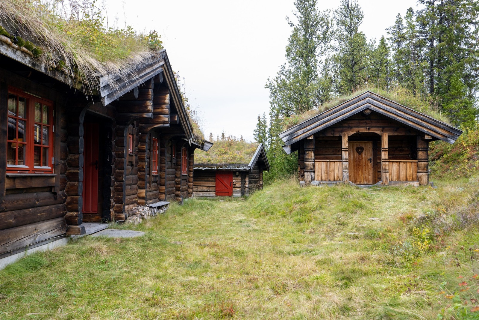 Hytta, stabburet og garasjen ligger hyggelig samlet og skaper en lun og innbydende tunfølelse. Galleribilde