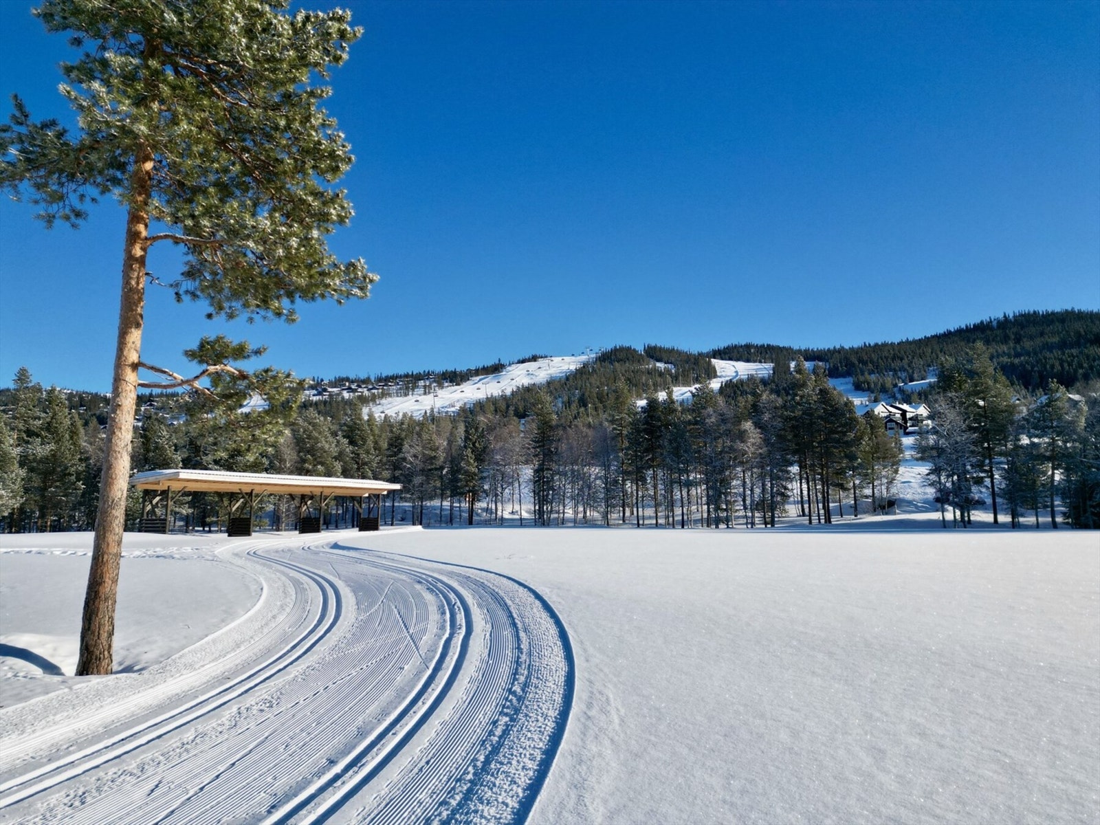 Preparerte langrennsløyper ved golfbanen, med Nesfjellet Alpin i bakgrunnen. Meglerkontorets eget bilde. Galleribilde
