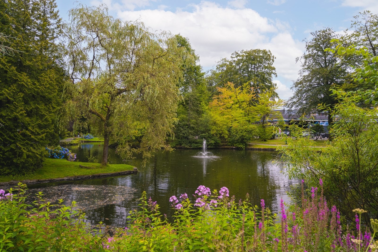 Kort gange til Nygårdsparken, et populært grøntområde som byr på en fin kontrast til bylivet. Galleribilde