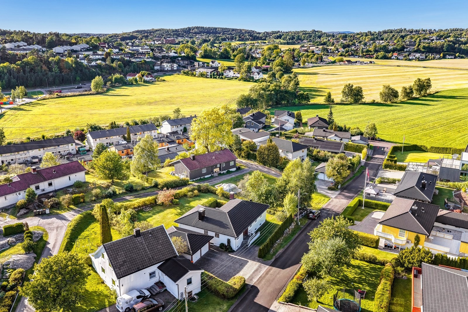 - Velkommen til visning ! - Galleribilde