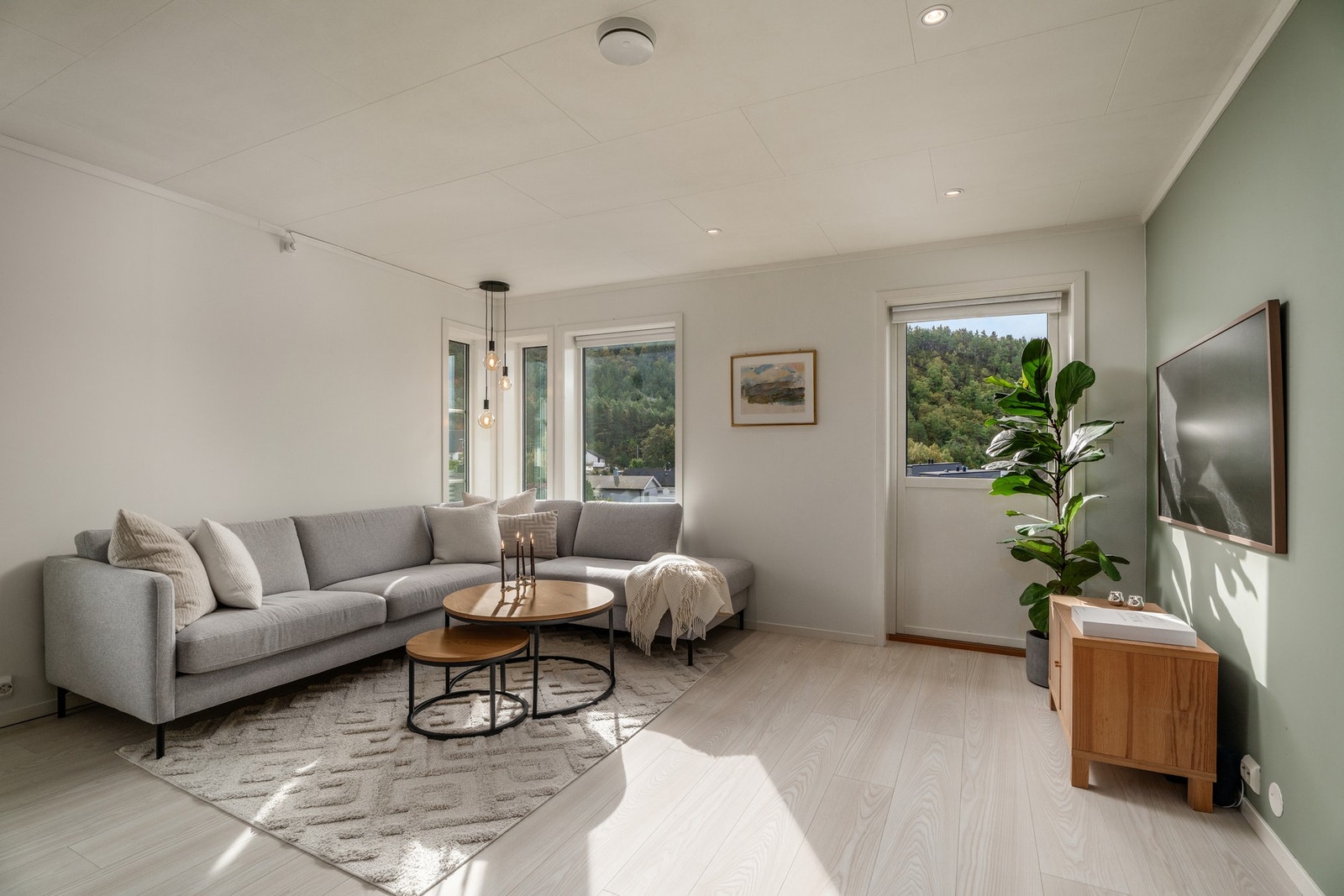 Elegante vindu ved sofakroken og pene kontrastveggen i lindegrønt samt solskjermingen på verandadør og vindu. Galleribilde