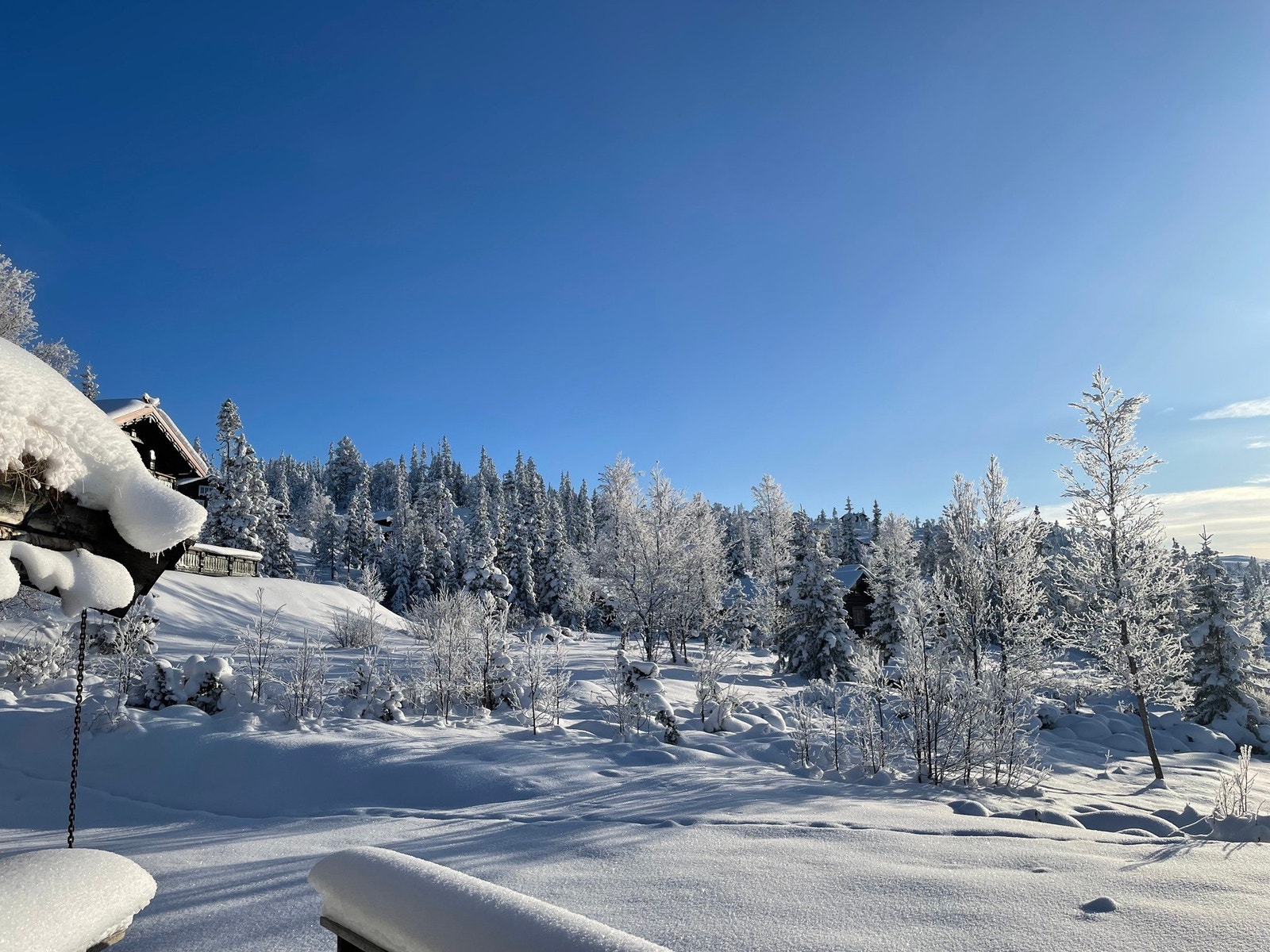 Selgers eget bilde fra en flott vintersdag. Galleribilde