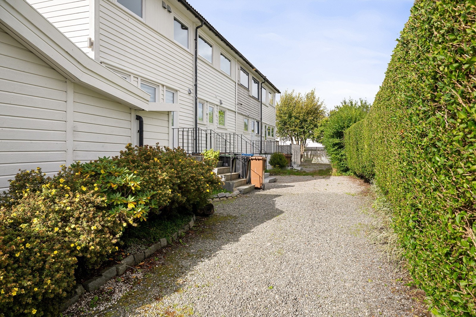 Felles bakgård. Galleribilde