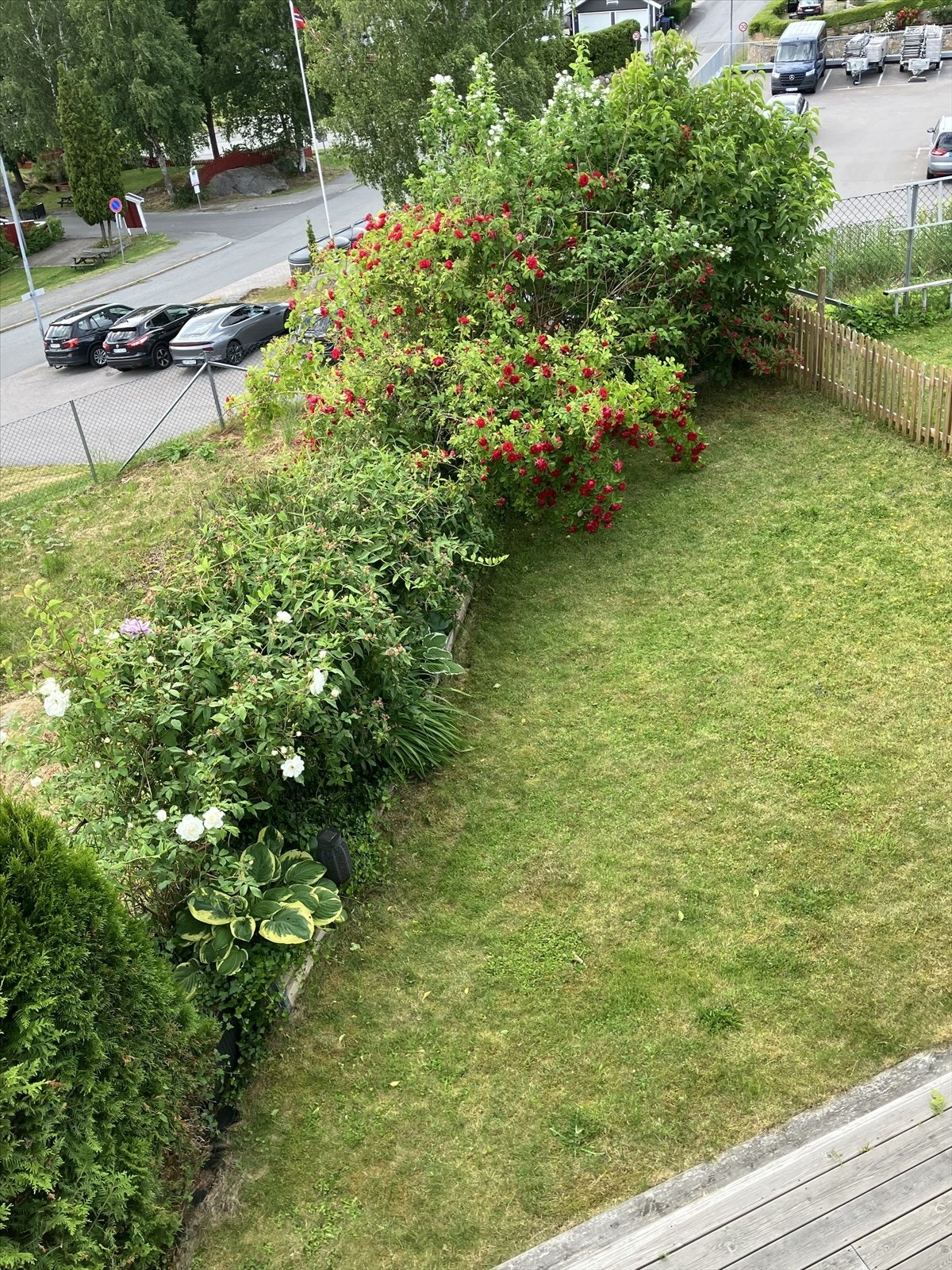 selgers egne sommerbilder Galleribilde