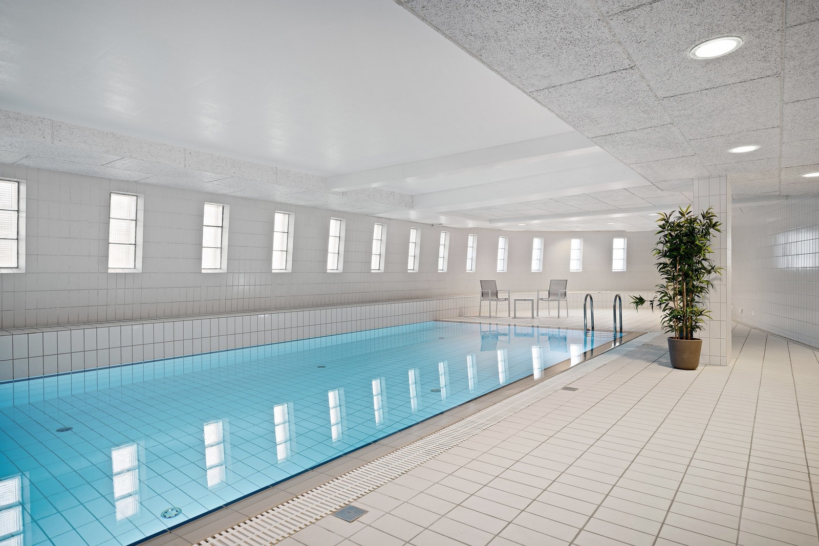 Felles svømmebasseng. Galleribilde