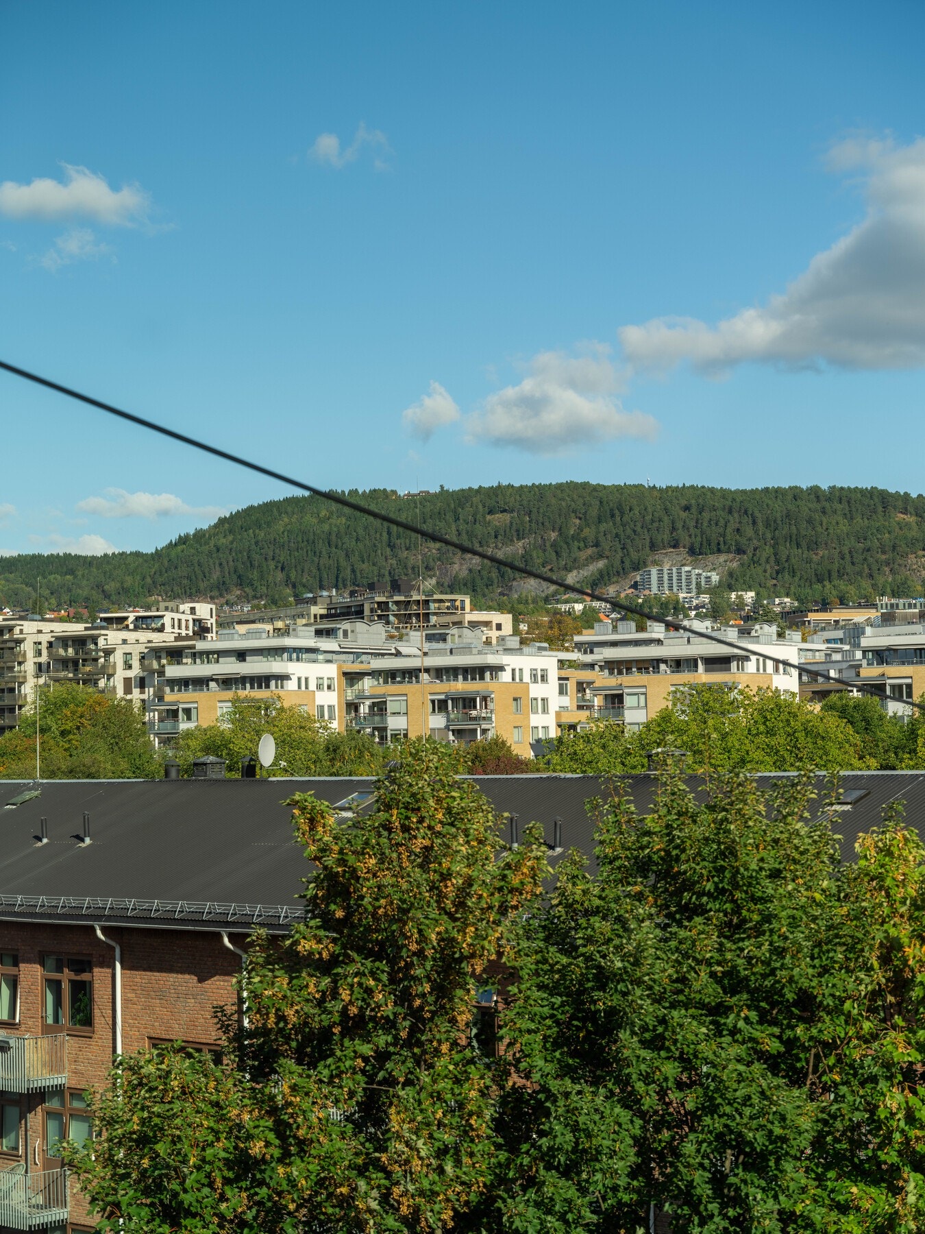 Og med Grefsenkollen i horisonten. Galleribilde