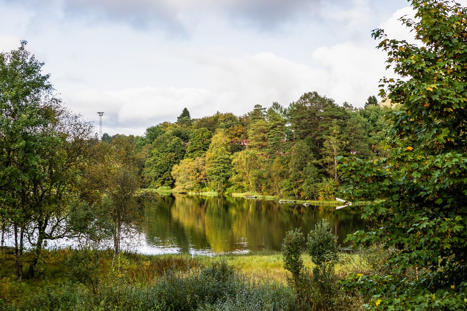 Damsgårdsfjellet ligger rett ved siden av Lerkeskogen, og her kan man nyte fantastisk utsikt over Bergen og fjordene. Galleribilde