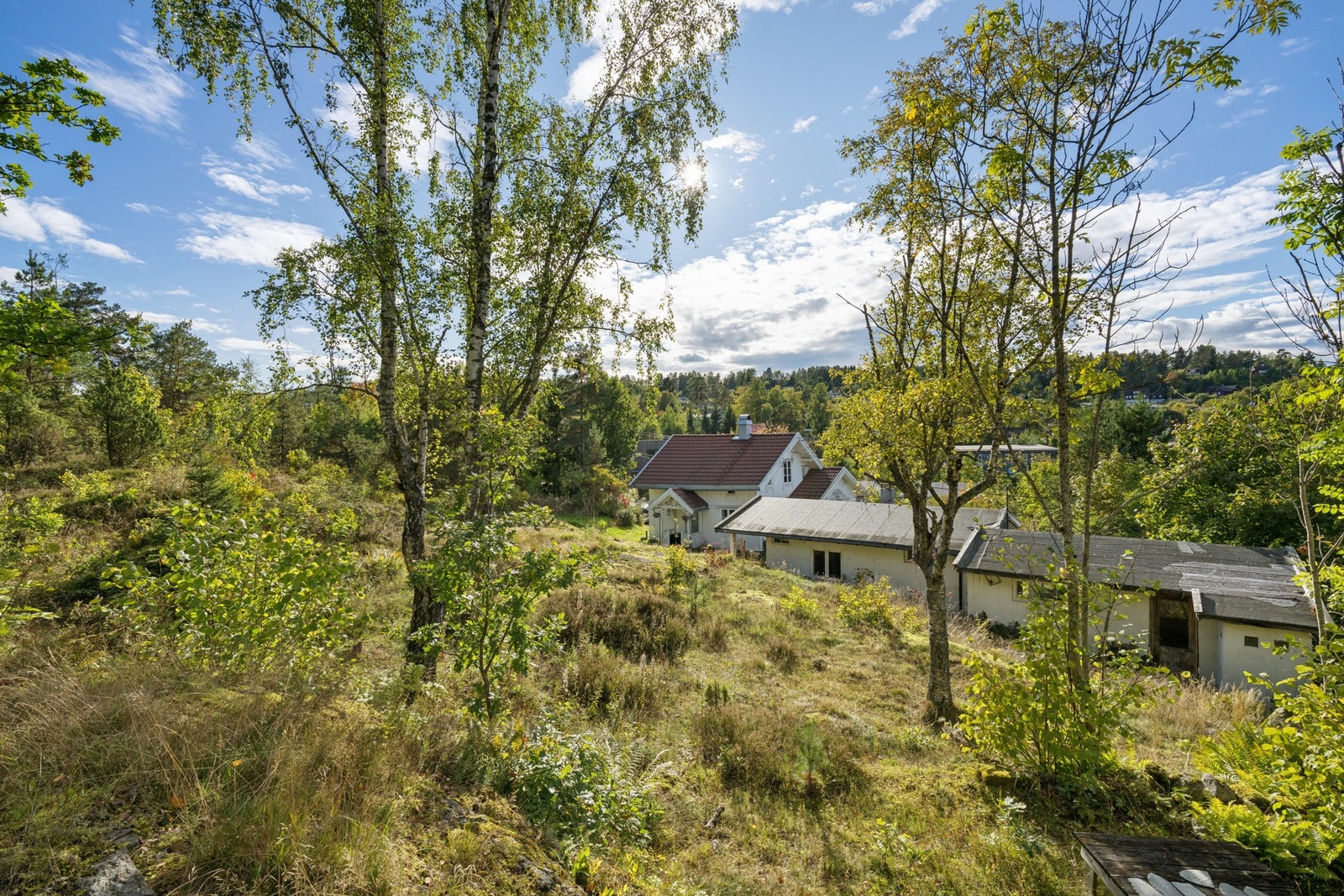 Hage/tomt Galleribilde