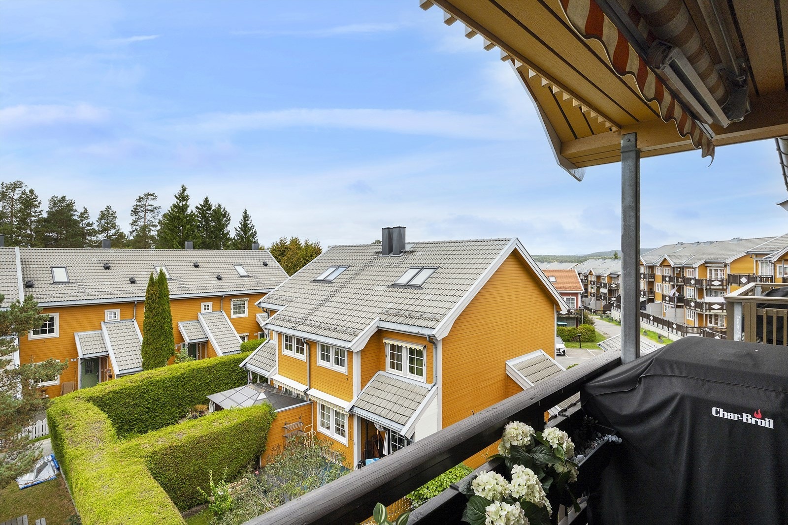 Utsikt over nabolaget. Galleribilde