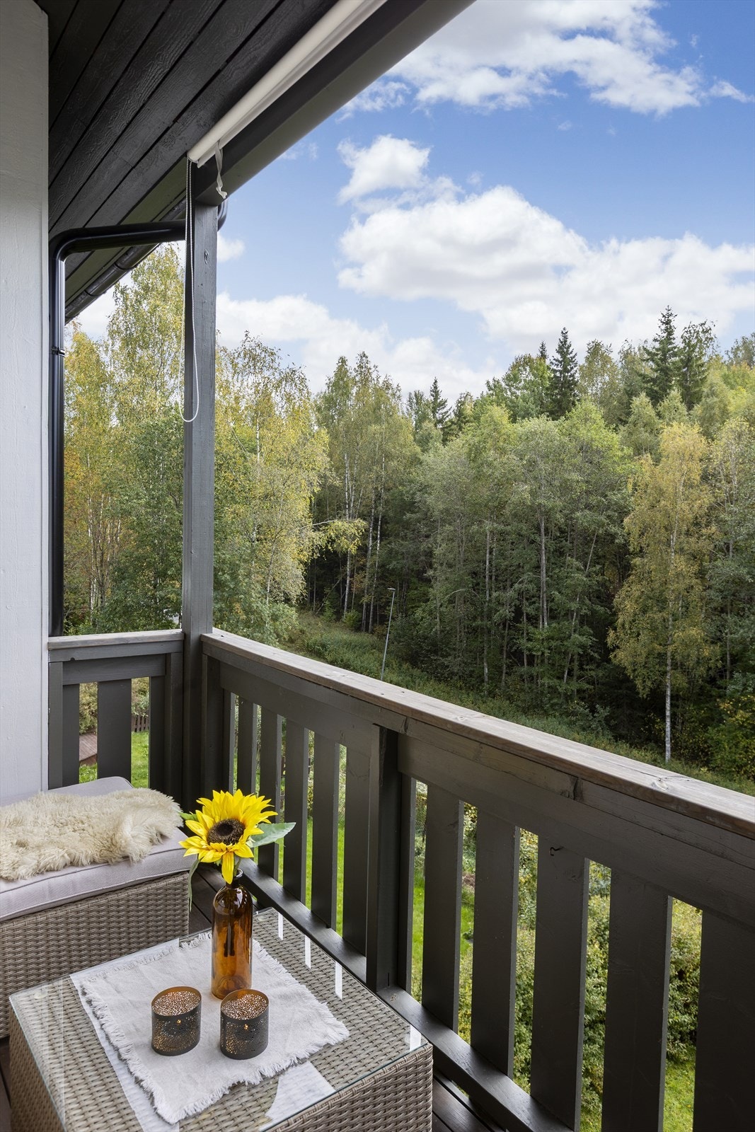 Fra verandaen er det fredelig og skjermet utsyn rett mot skogsområdet. Galleribilde