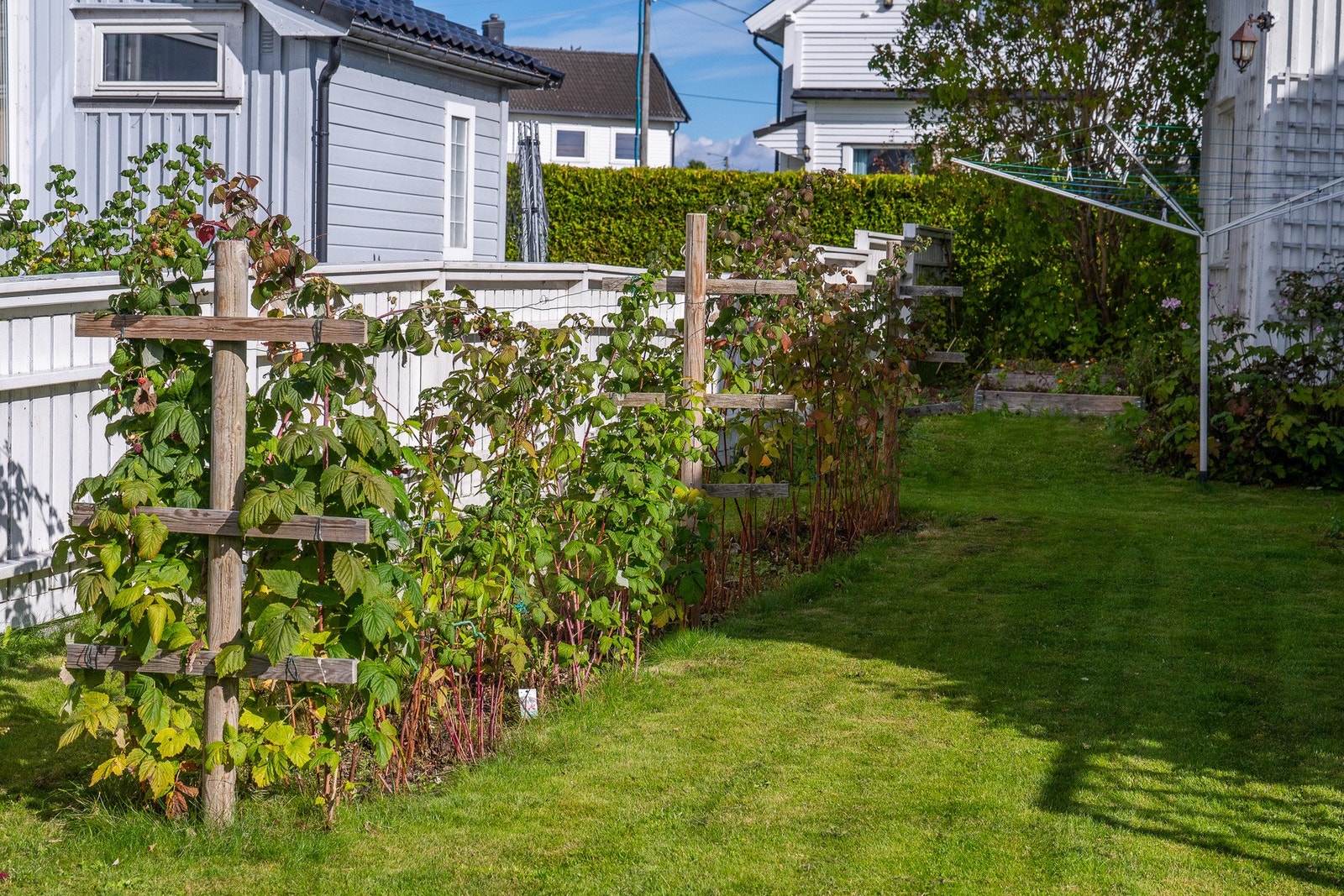 Hagen har en fin kombinasjon av plen og beplantning. Galleribilde
