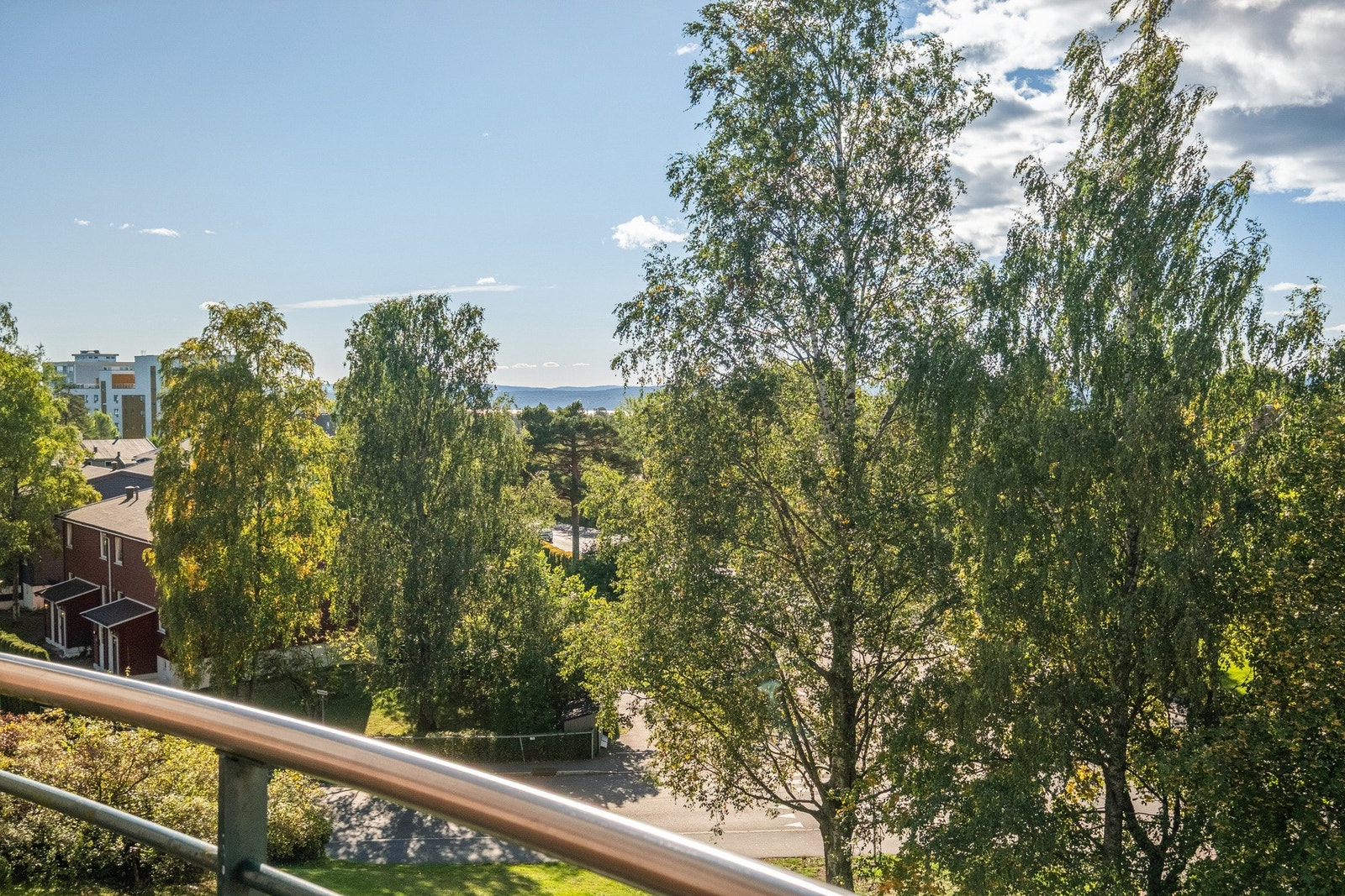 Grønn og frodig utsikt. Galleribilde