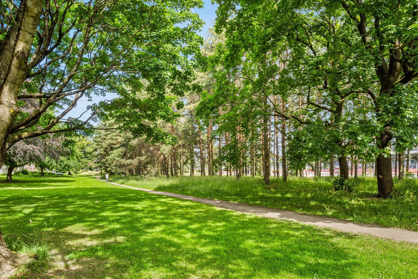 Store, grønne lunger rundt Valle Hovin. Galleribilde