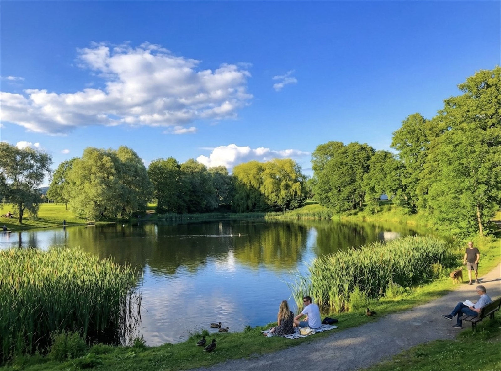 Kort vei til rekreasjonsområder som Valle Hovin med sin idylliske andedam. Galleribilde