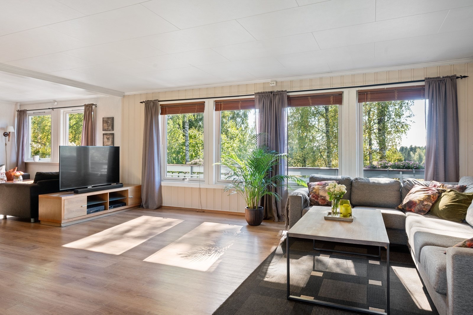 Store sørvendte vindusflater som slipper lyset godt inn. Galleribilde