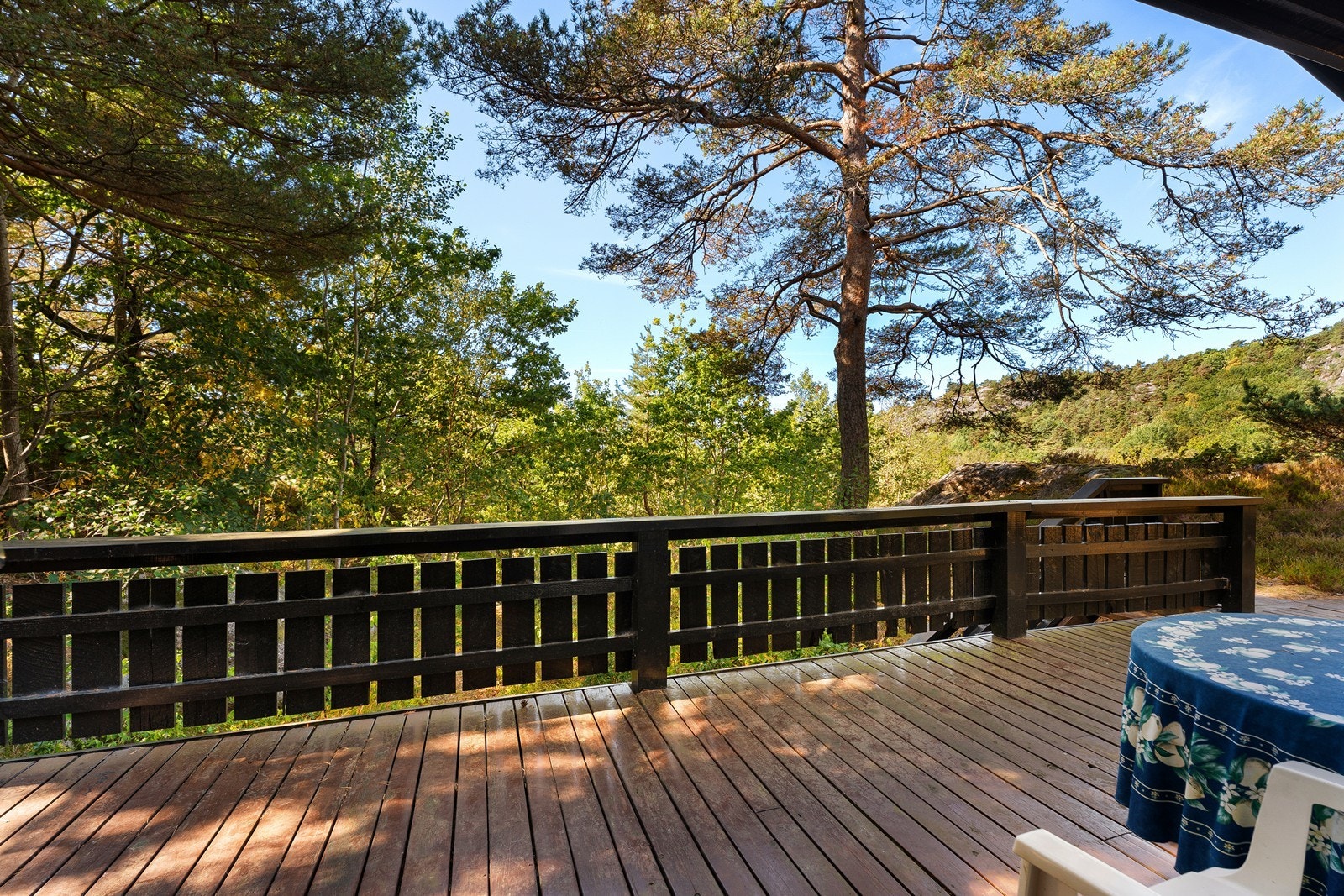 Fra stuen er det direkte utgang til uteområdet. Det ligger et potensial i å beskjære enkelte trær og greiner for økt lysinnslipp og bedre solforhold. Galleribilde