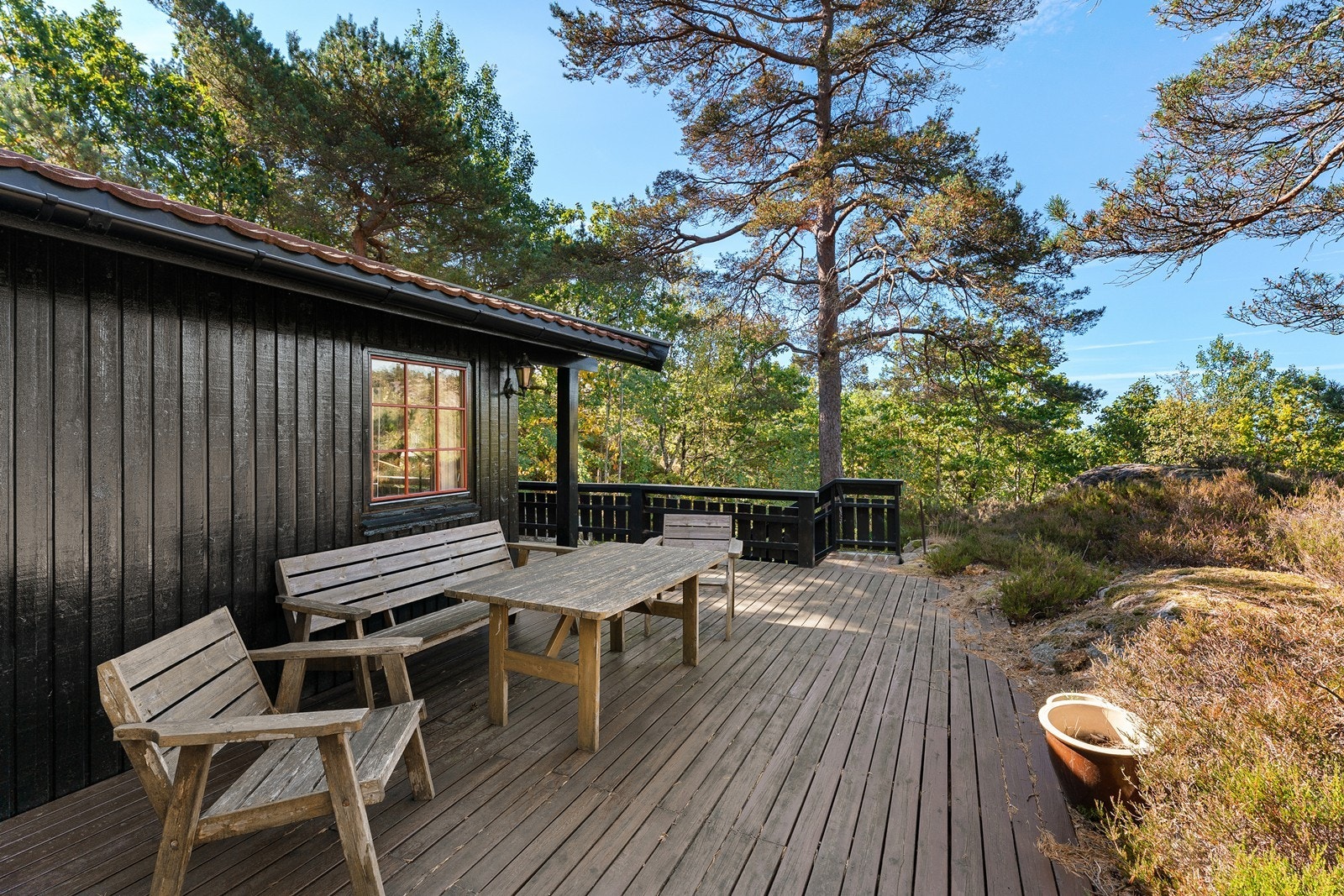 Stor tomt med potensialet. Galleribilde