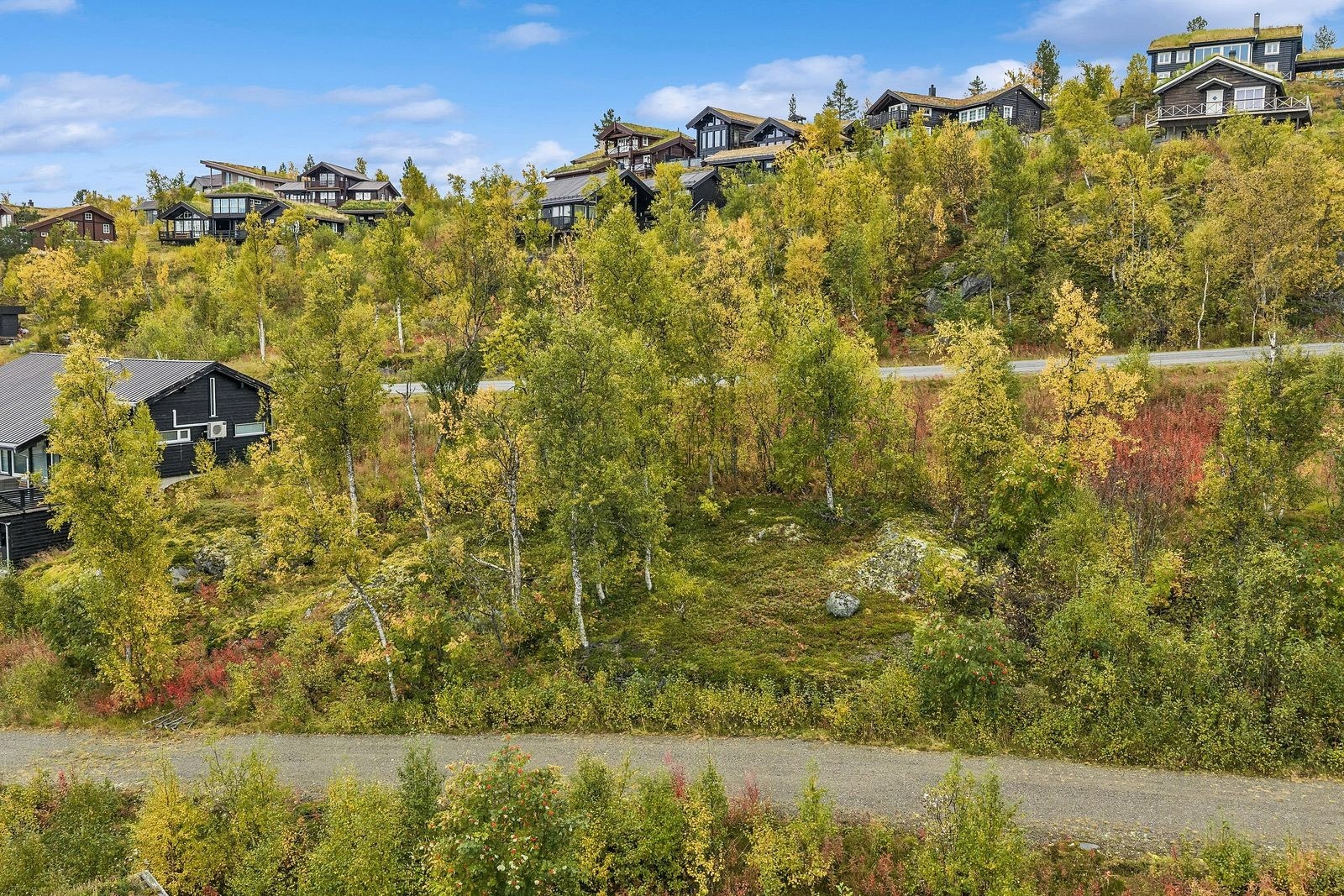 Etablert og familievennlig hytteområde, og bilvei helt frem!