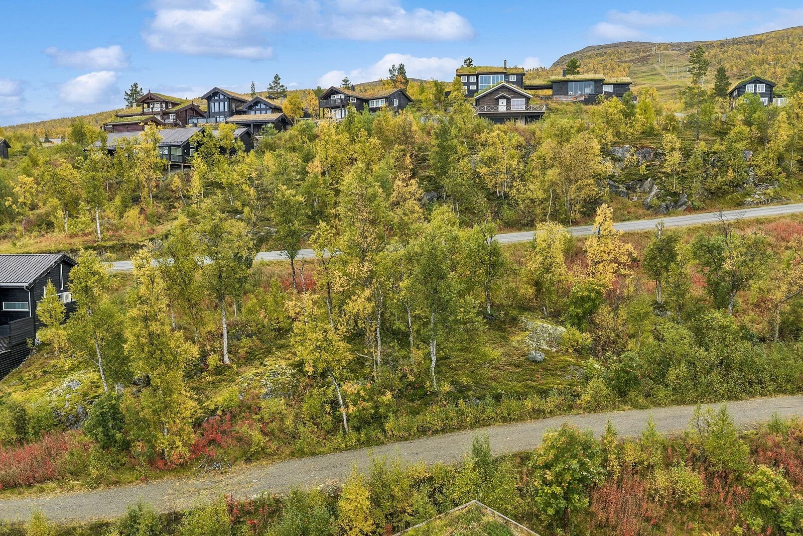 Tomten er en naturtomt med variert vegetasjon og trær, og gir et naturskjønt utgangspunkt for fremtidig hyttebebyggelse.