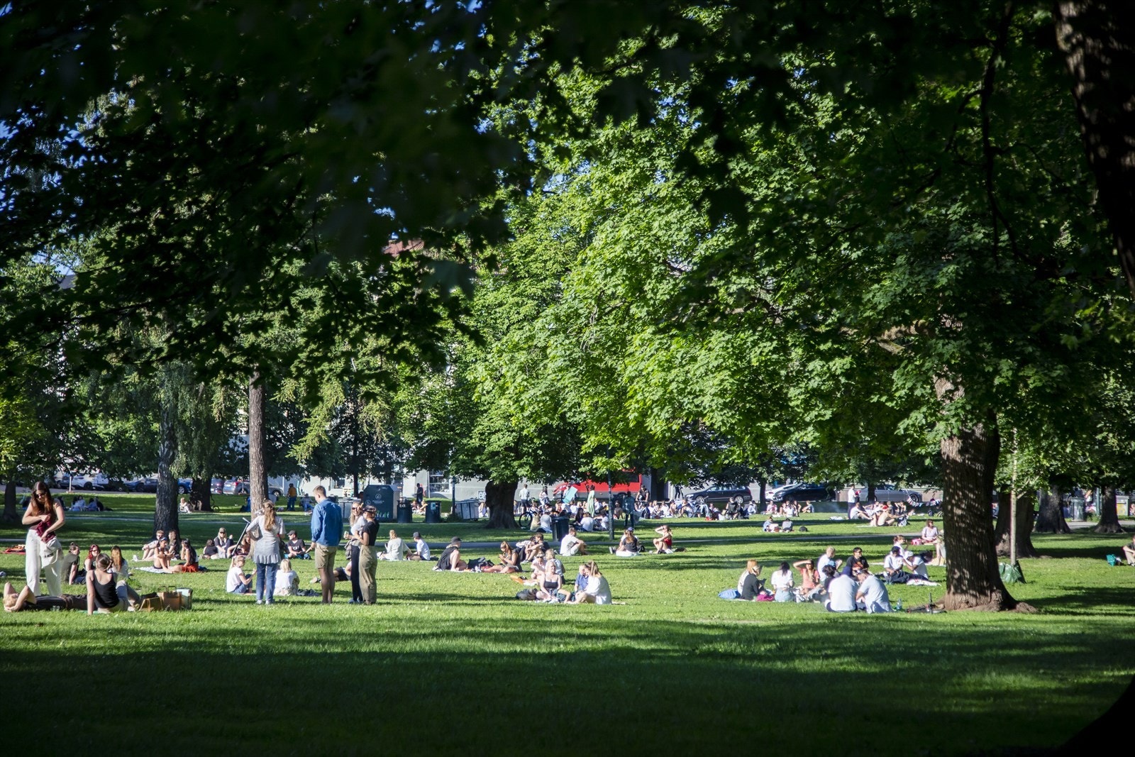 Sofienbergparken er en rusletur unna. Galleribilde