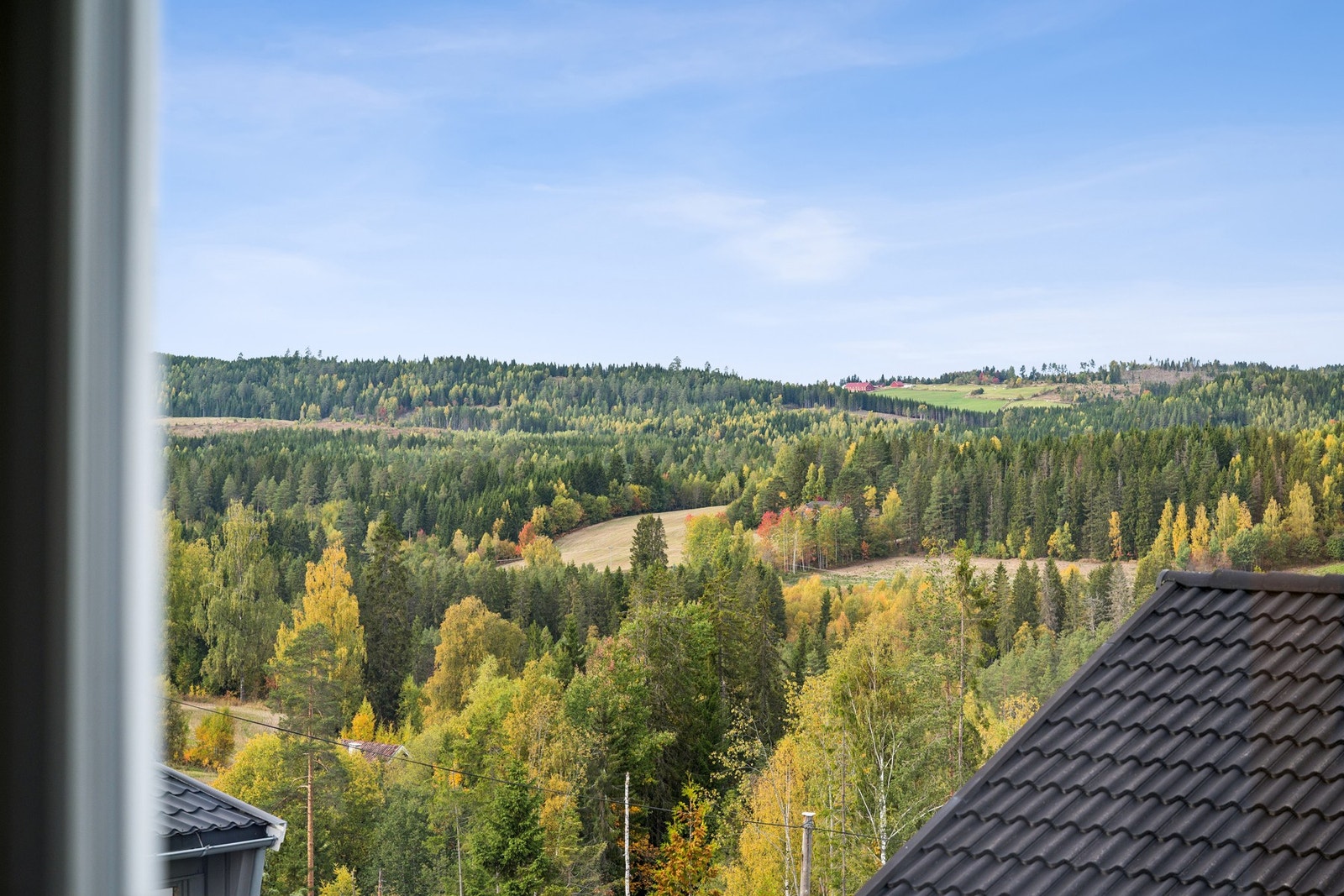Utsikt Galleribilde