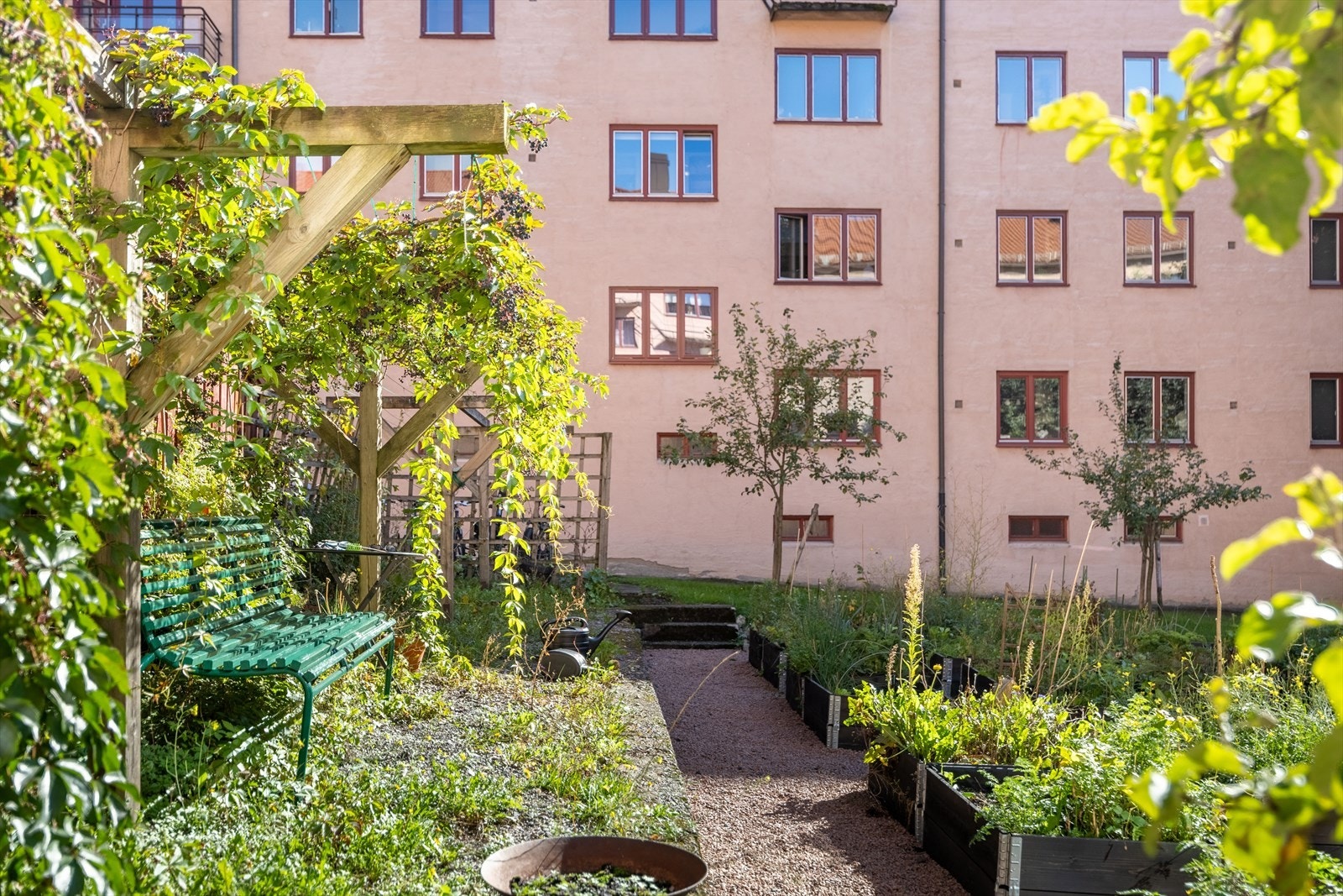 I bakgården er det parseller som man kan leie seg inn i - perfekt dersom en ønsker et sted å dyrke grønnsaker og planter Galleribilde