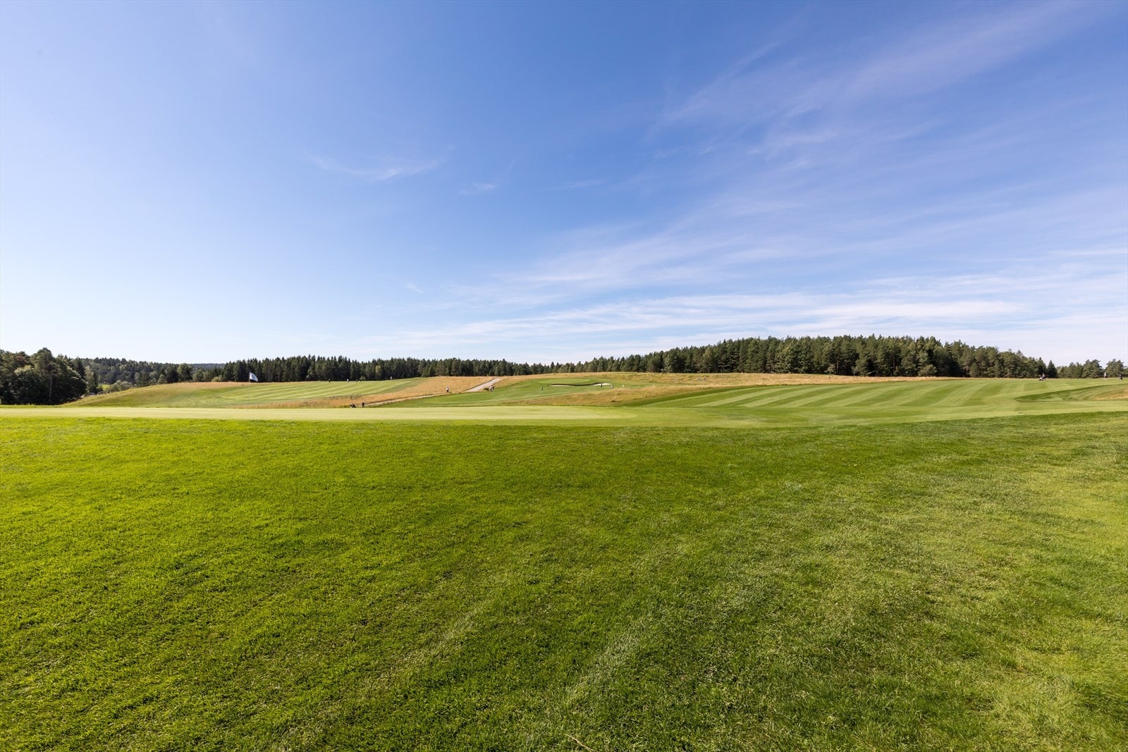 Områdebilde. Galleribilde