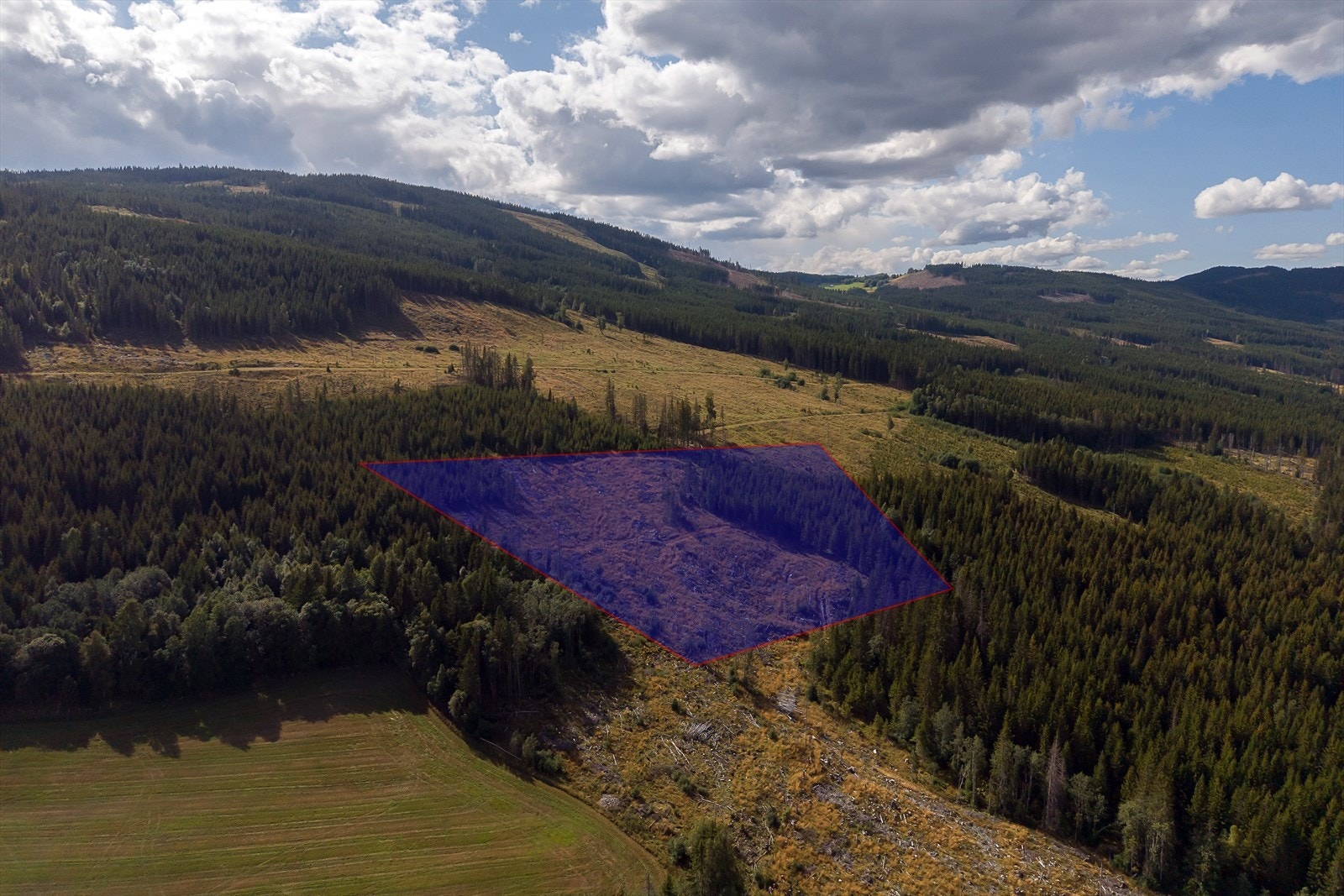 Eiendommen inkluderer en skogteig, vist her med omtrentlig avgrensning. Galleribilde