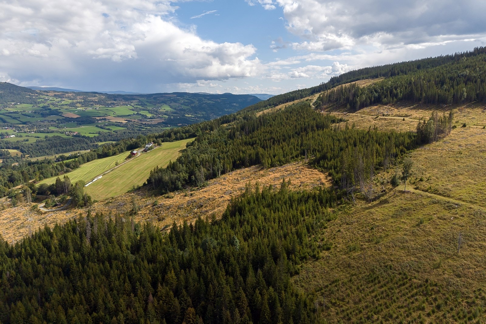 Terrenget på eiendommen er variert, med både innmark og skogkledde lier. Galleribilde