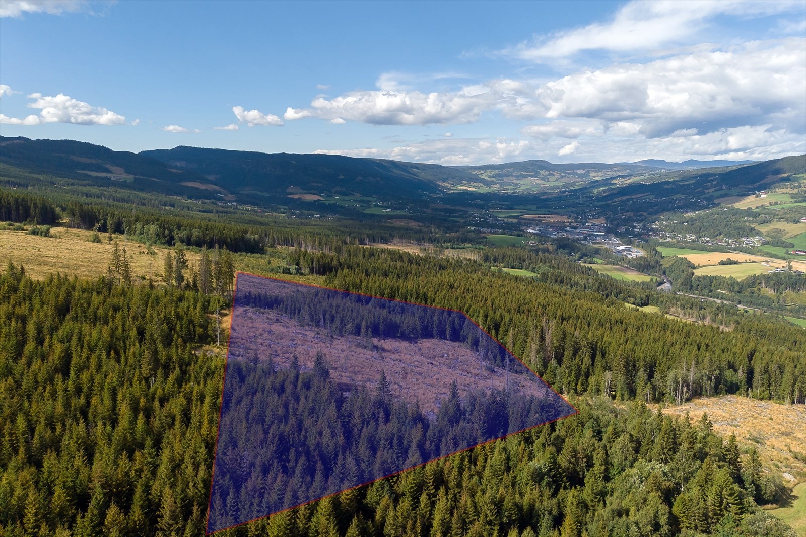 Medfølgende skogteig på eget gårds- og bruksnummer. Galleribilde
