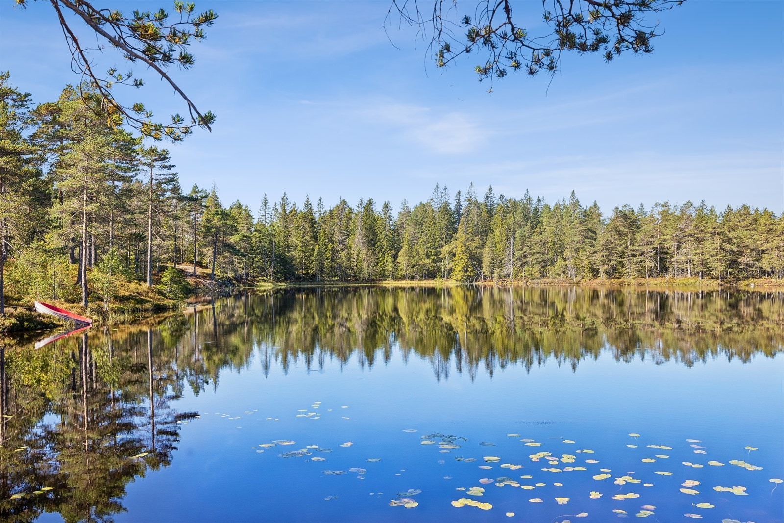 Kort vei til flotte badevann som Kollevann. Galleribilde
