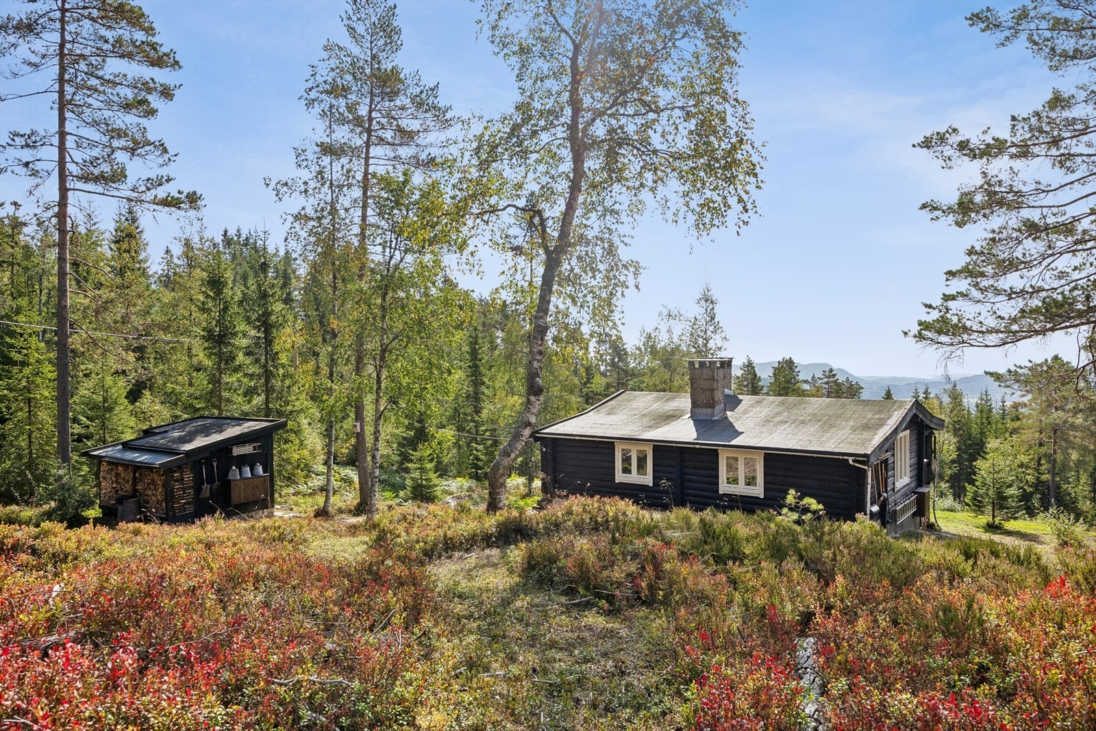 Hytta ligger usjenert til på en romslig naturtomt. Galleribilde