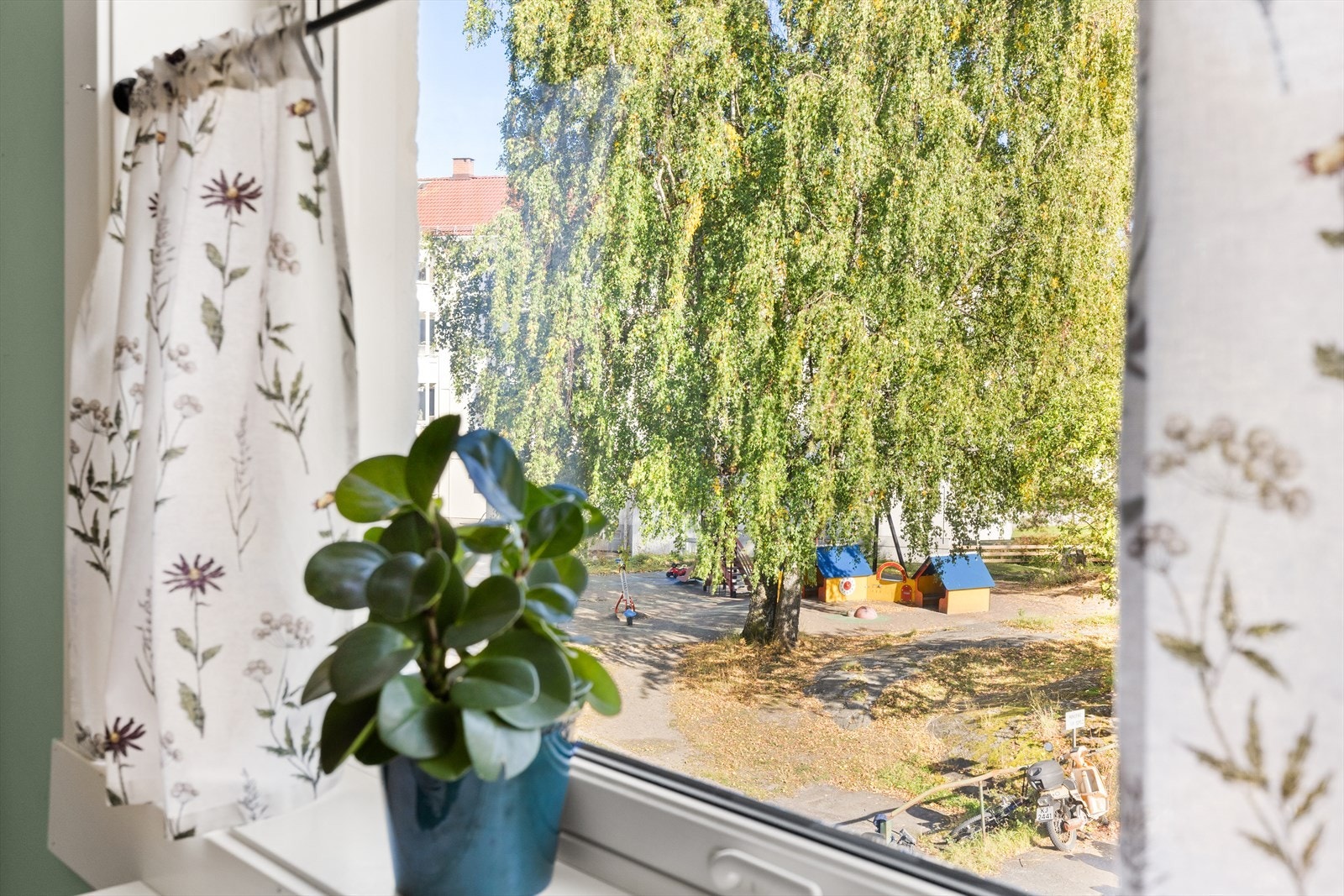 Utsikten fra kjøkkenet Galleribilde