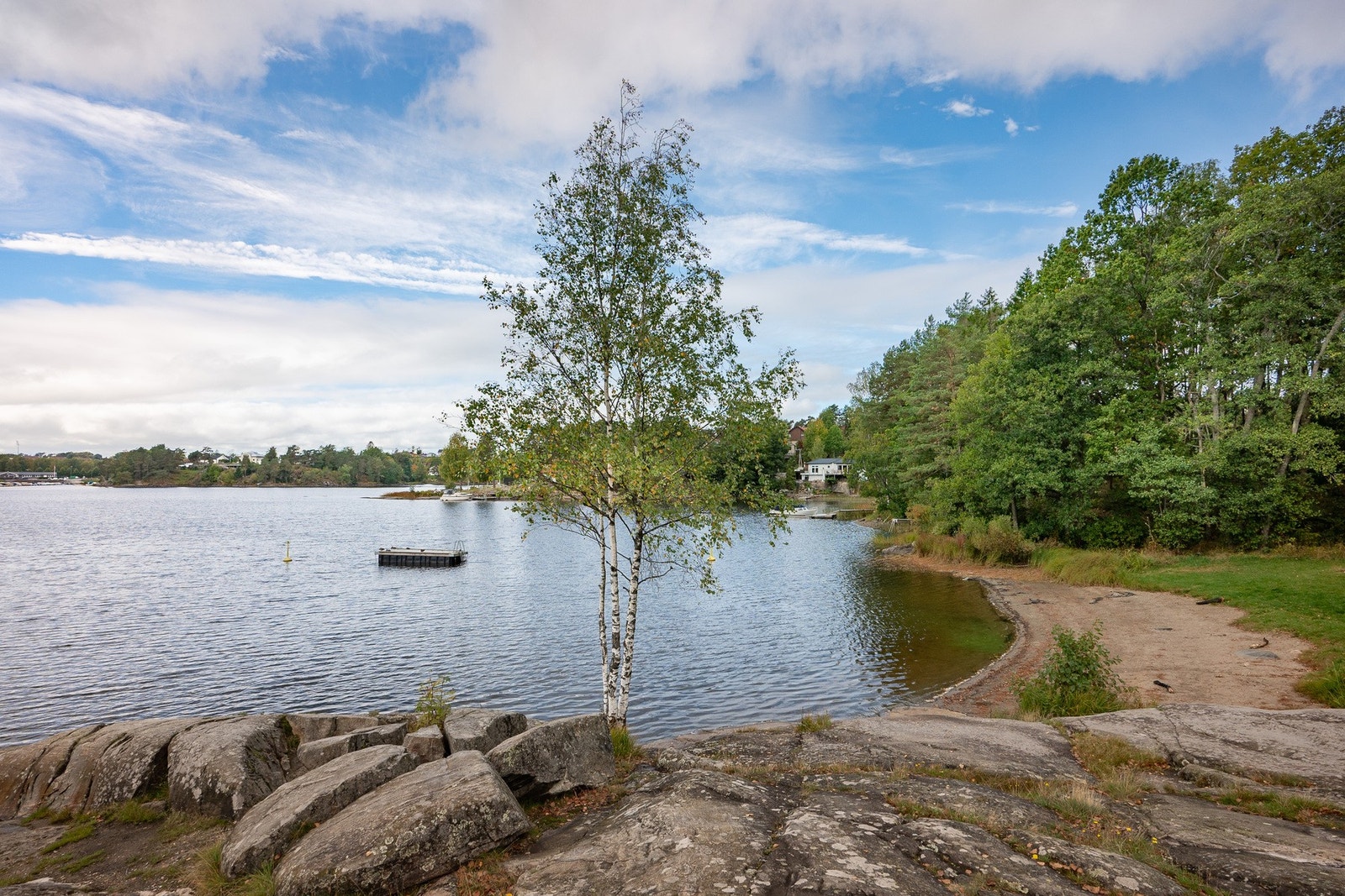 Nærområde. Galleribilde