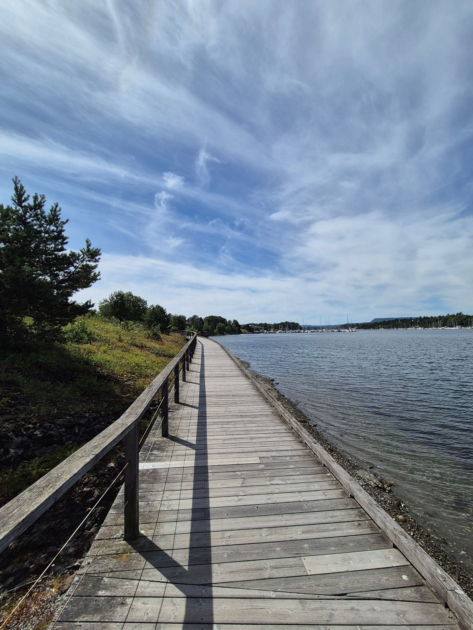Holtekilen i sommerdrakt Galleribilde