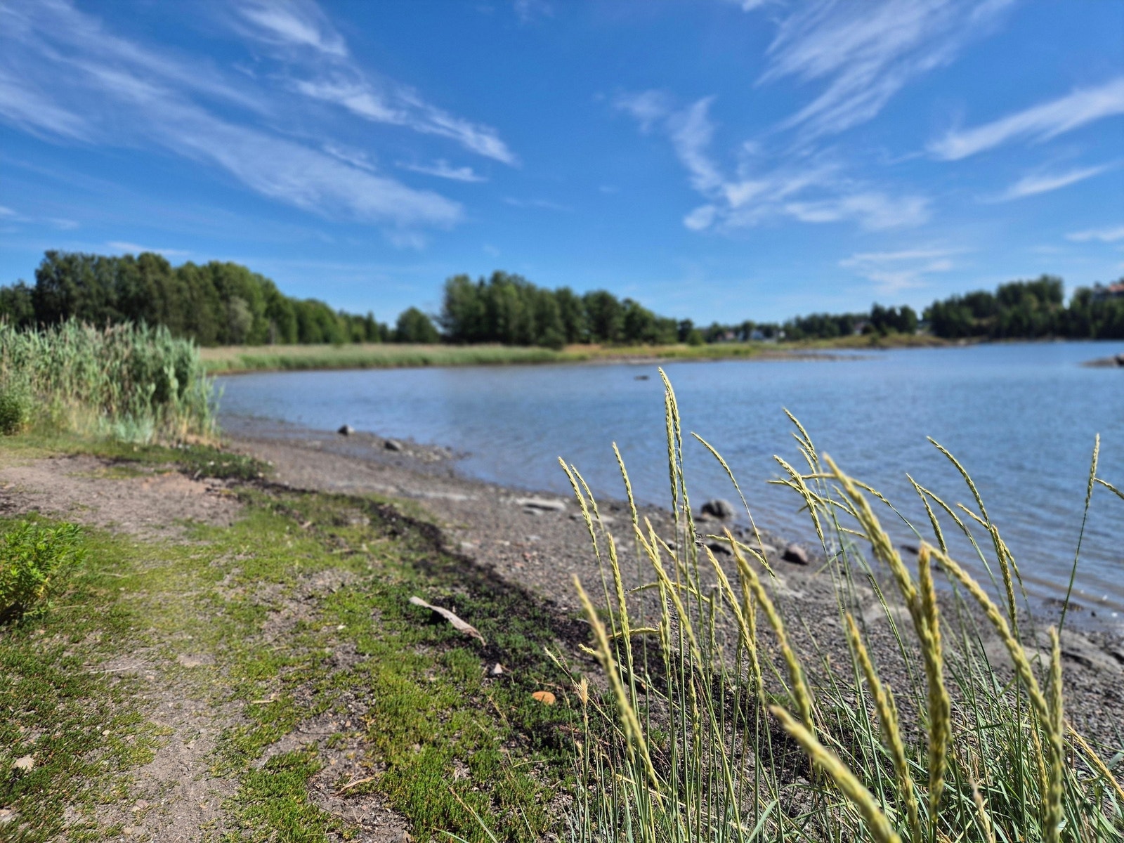 Skjønne Koksabukta Galleribilde
